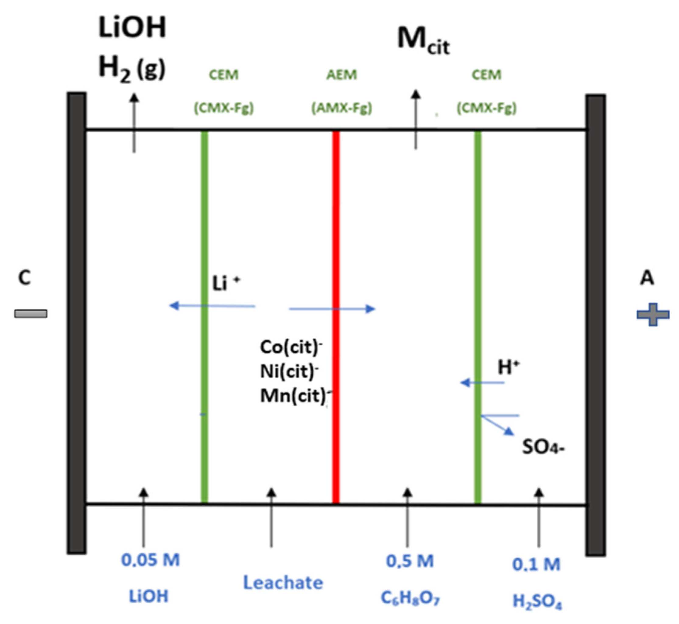 Metals 15 00598 g002