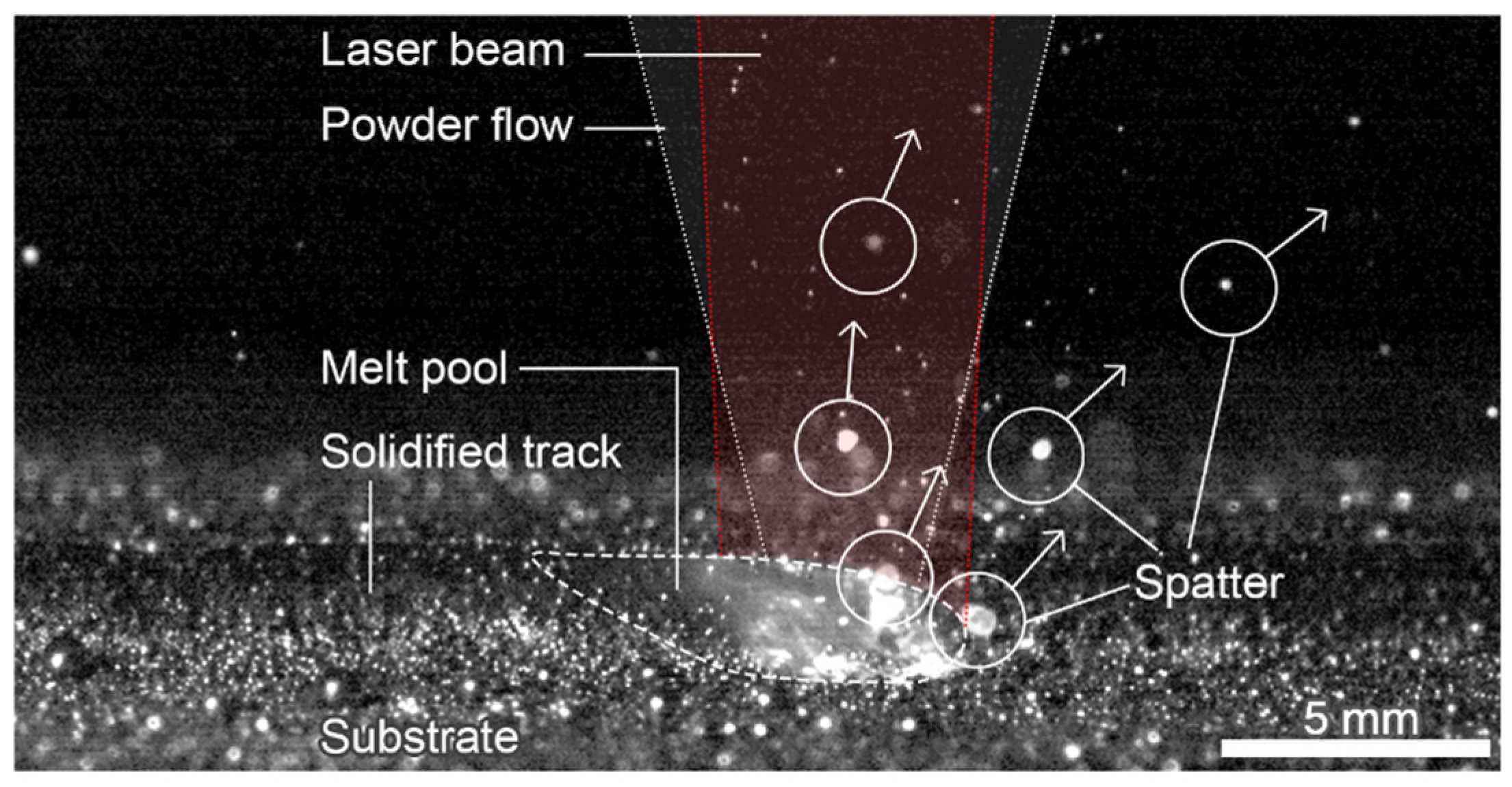 Metals 15 00599 g010