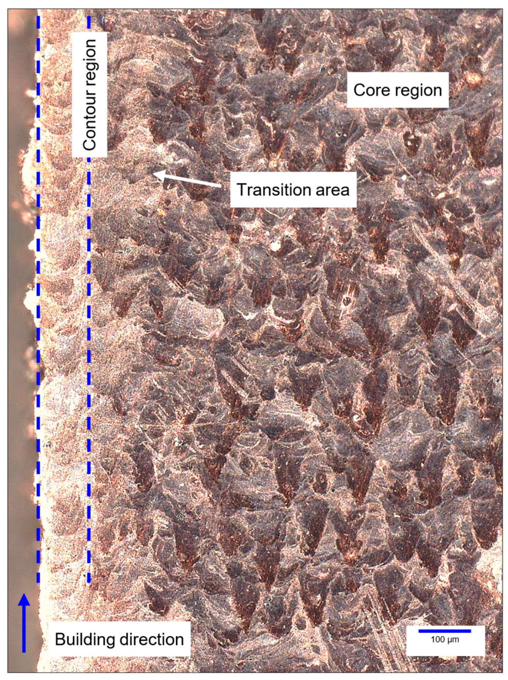 Metals 15 00604 g017