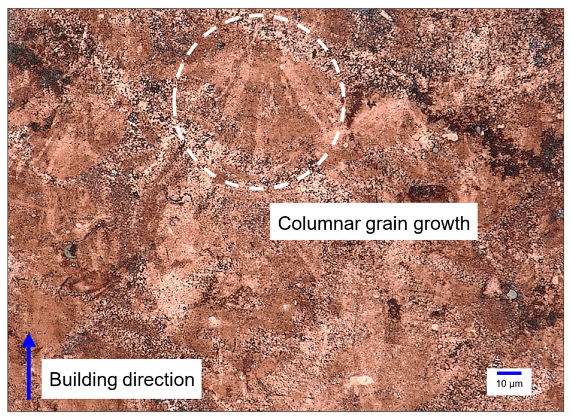 Metals 15 00604 g018