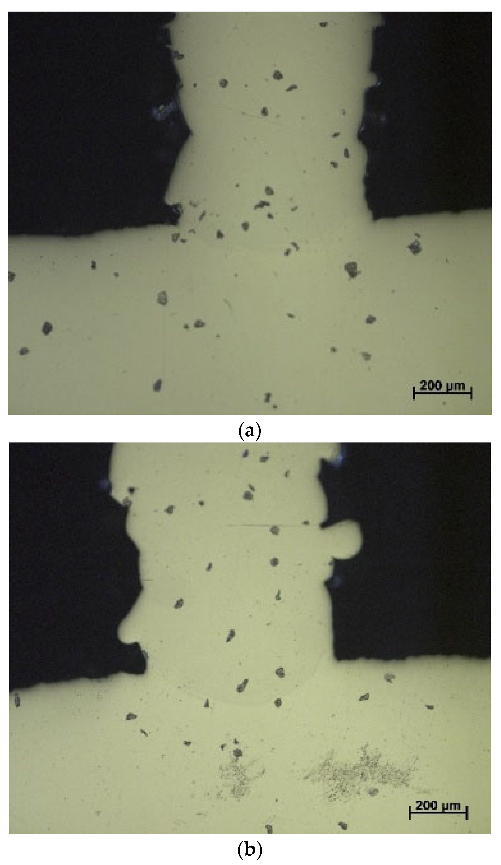 Metals 15 00612 g014