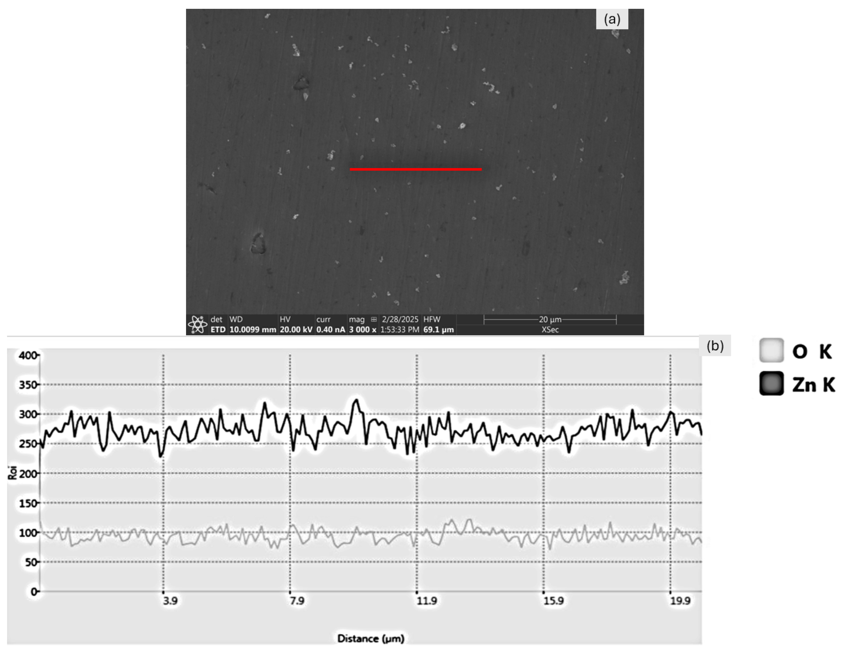 Metals 15 00614 g014