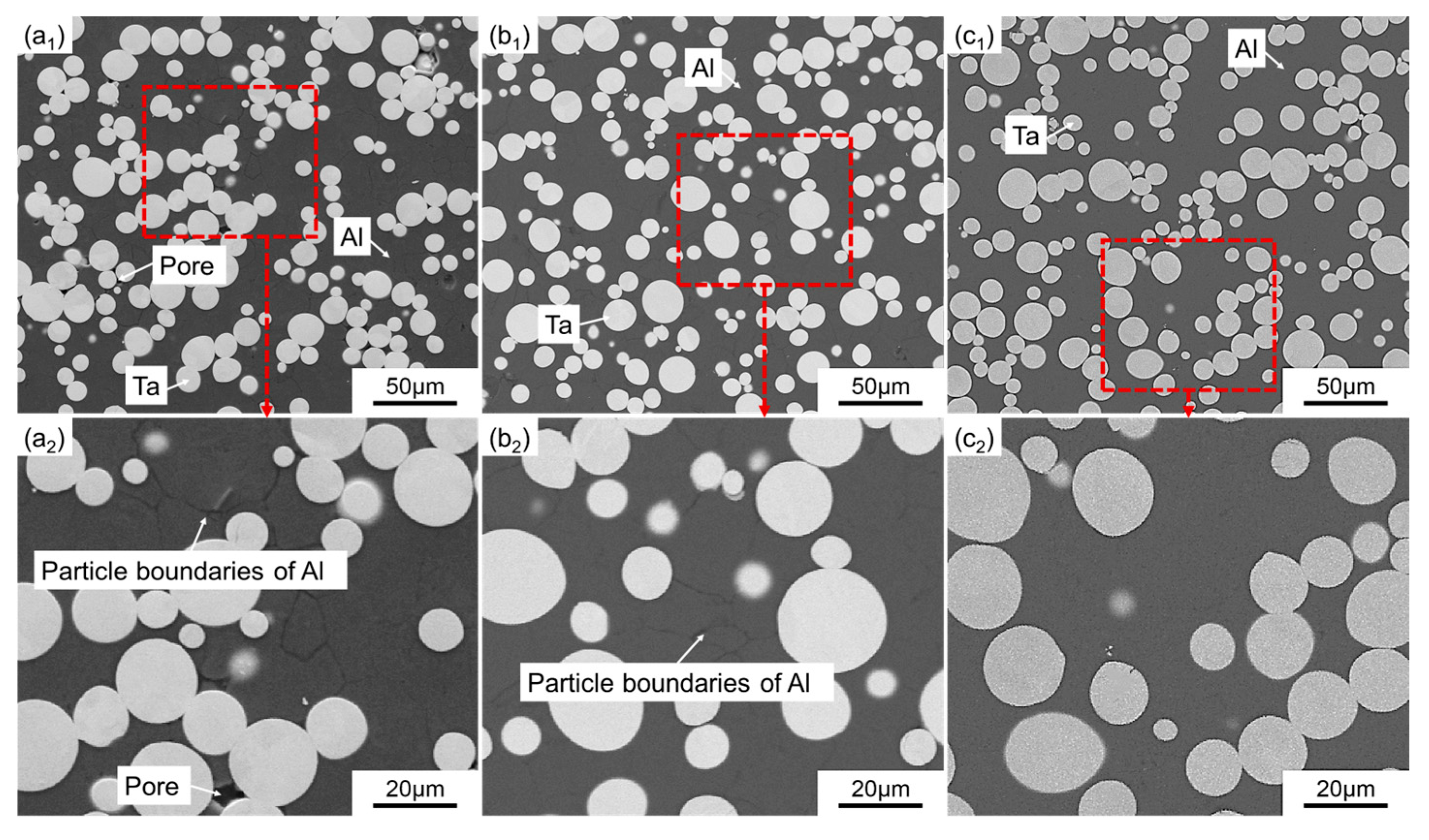 Metals 15 00615 g012
