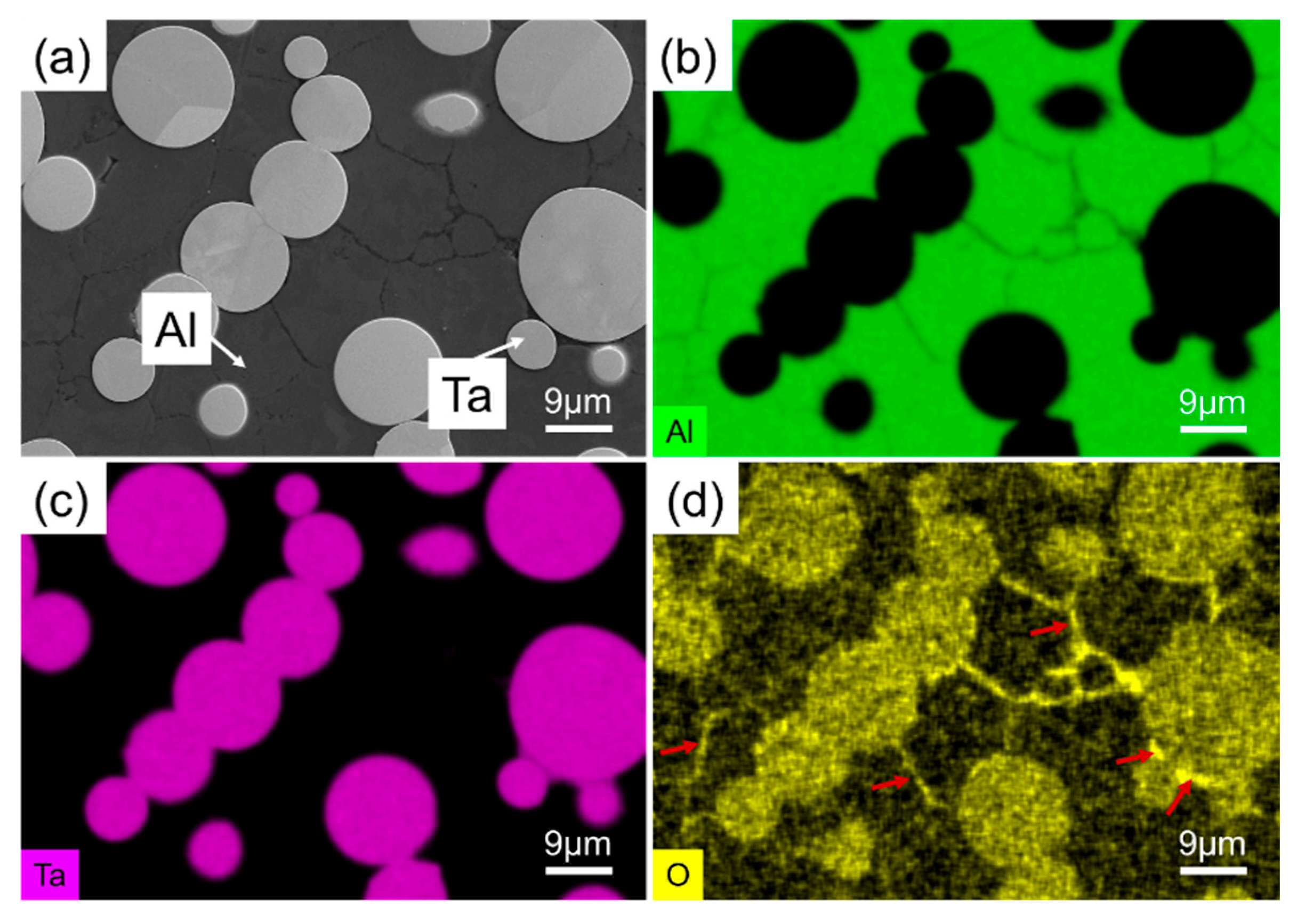 Metals 15 00615 g013
