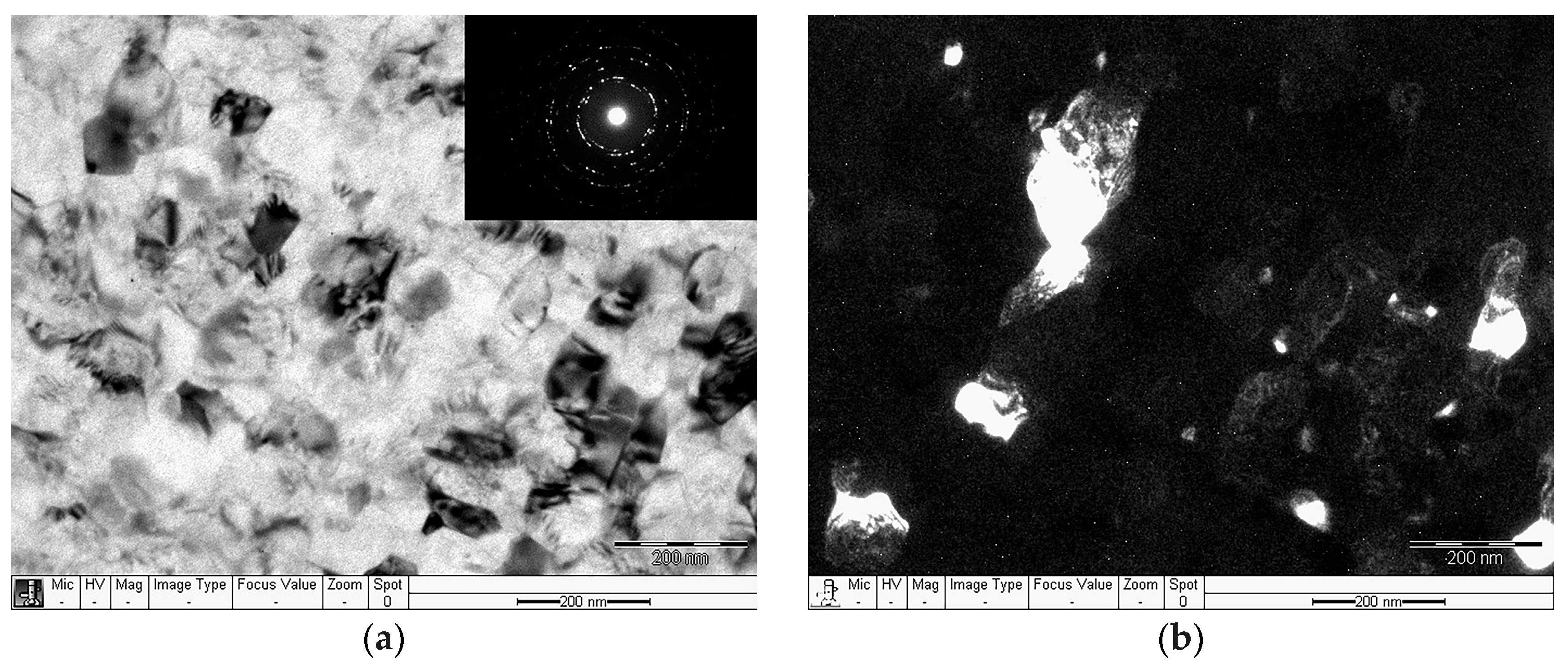 Metals 15 00618 g001