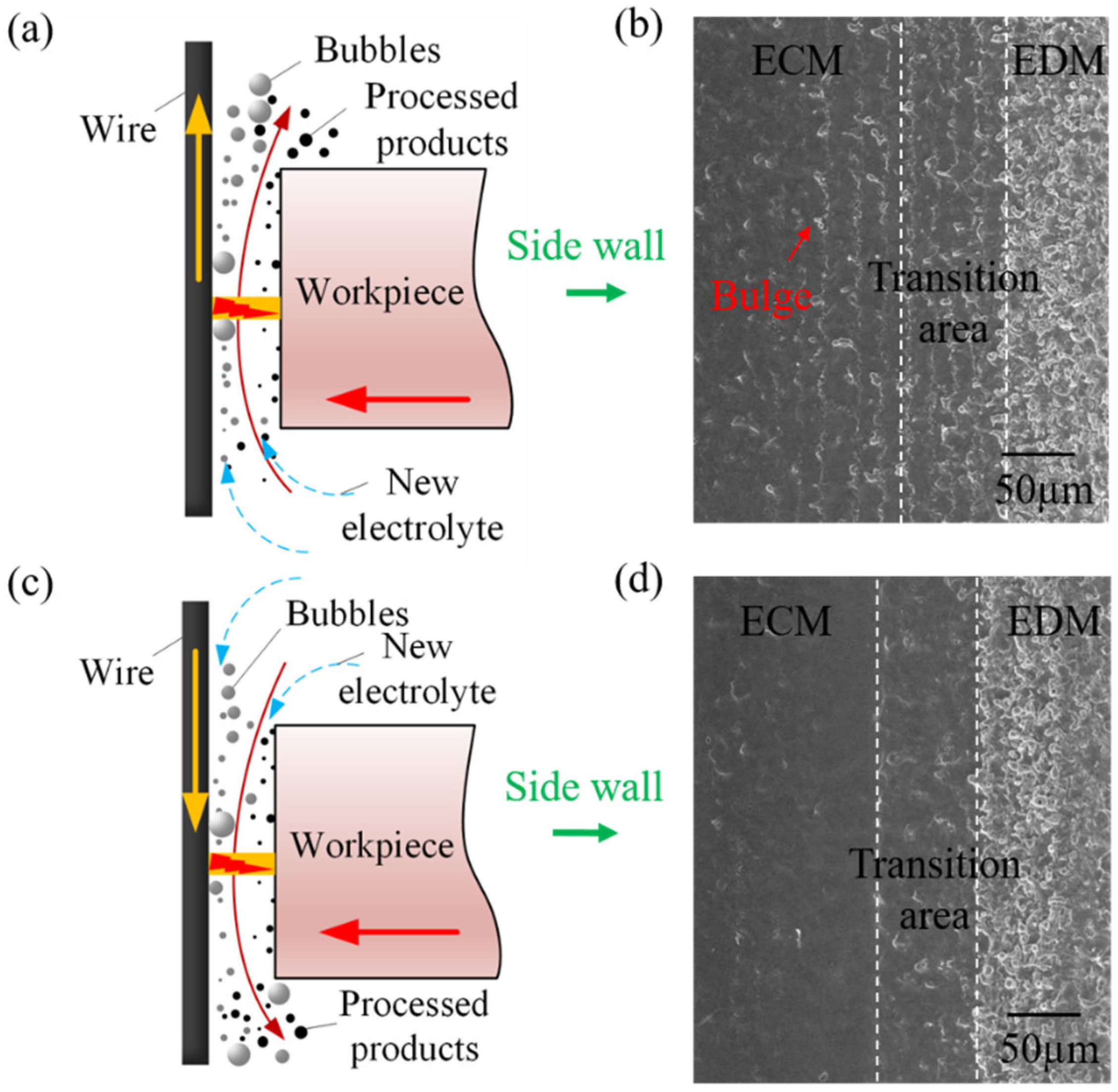 Metals 15 00621 g009