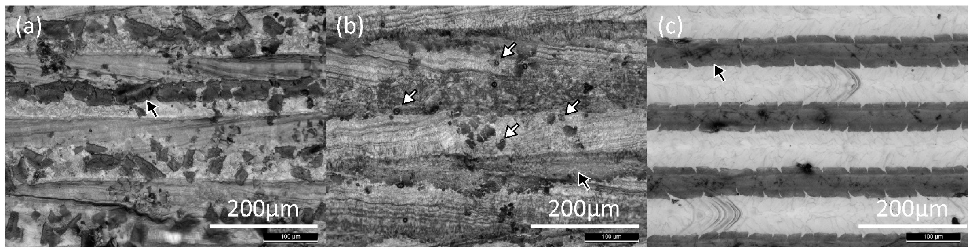 Metals 15 00627 g011