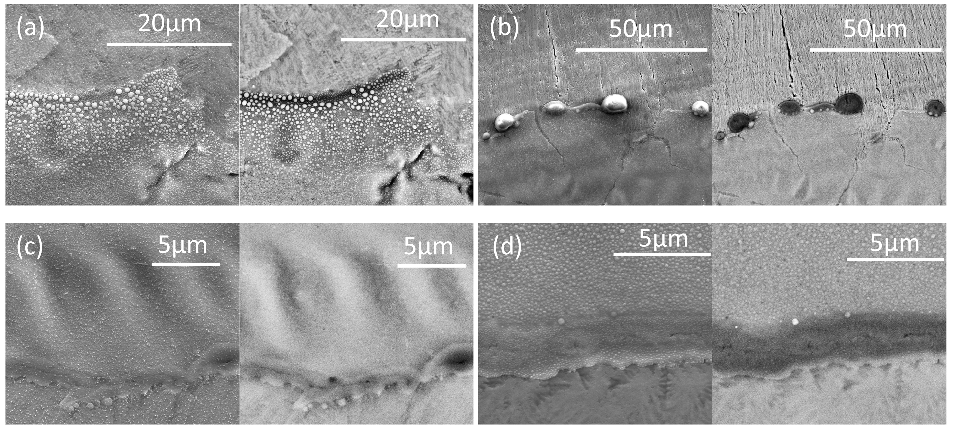 Metals 15 00627 g020