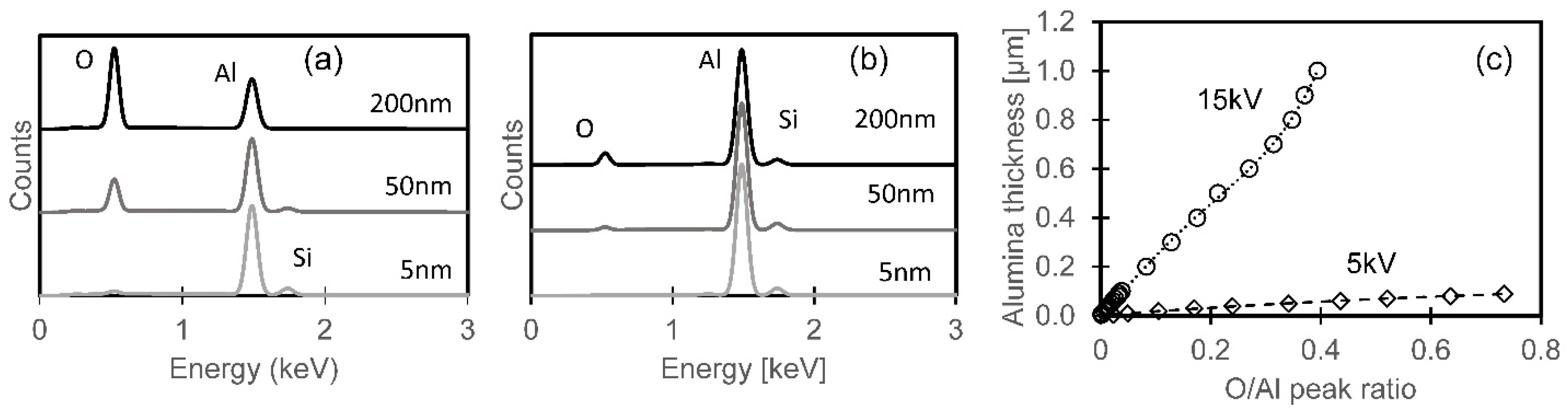 Metals 15 00627 g021