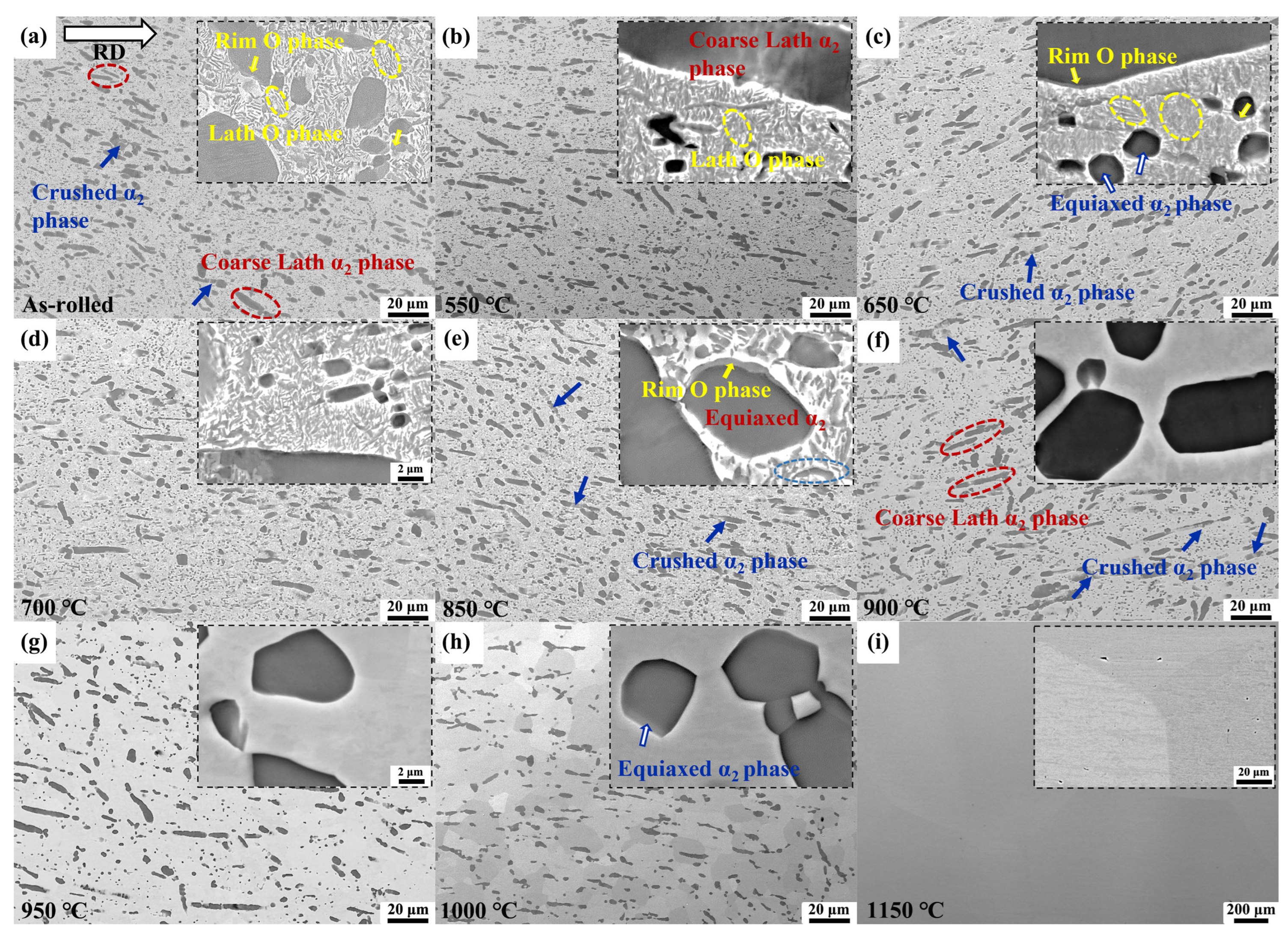Metals 15 00631 g003