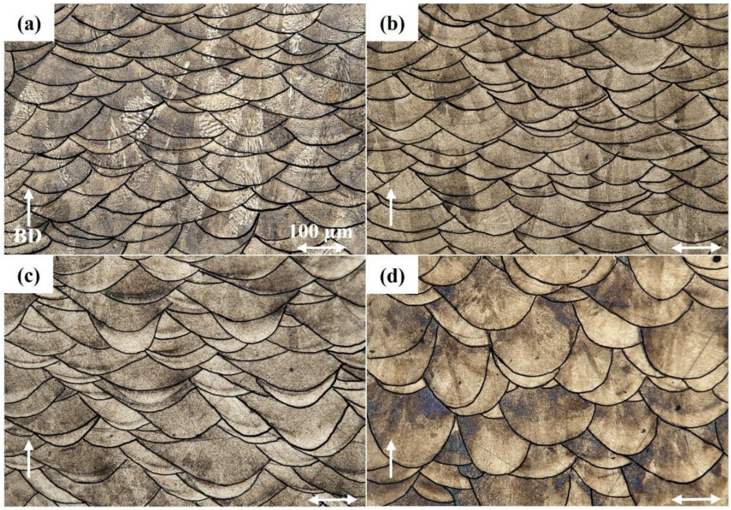 Metals 15 00639 g003