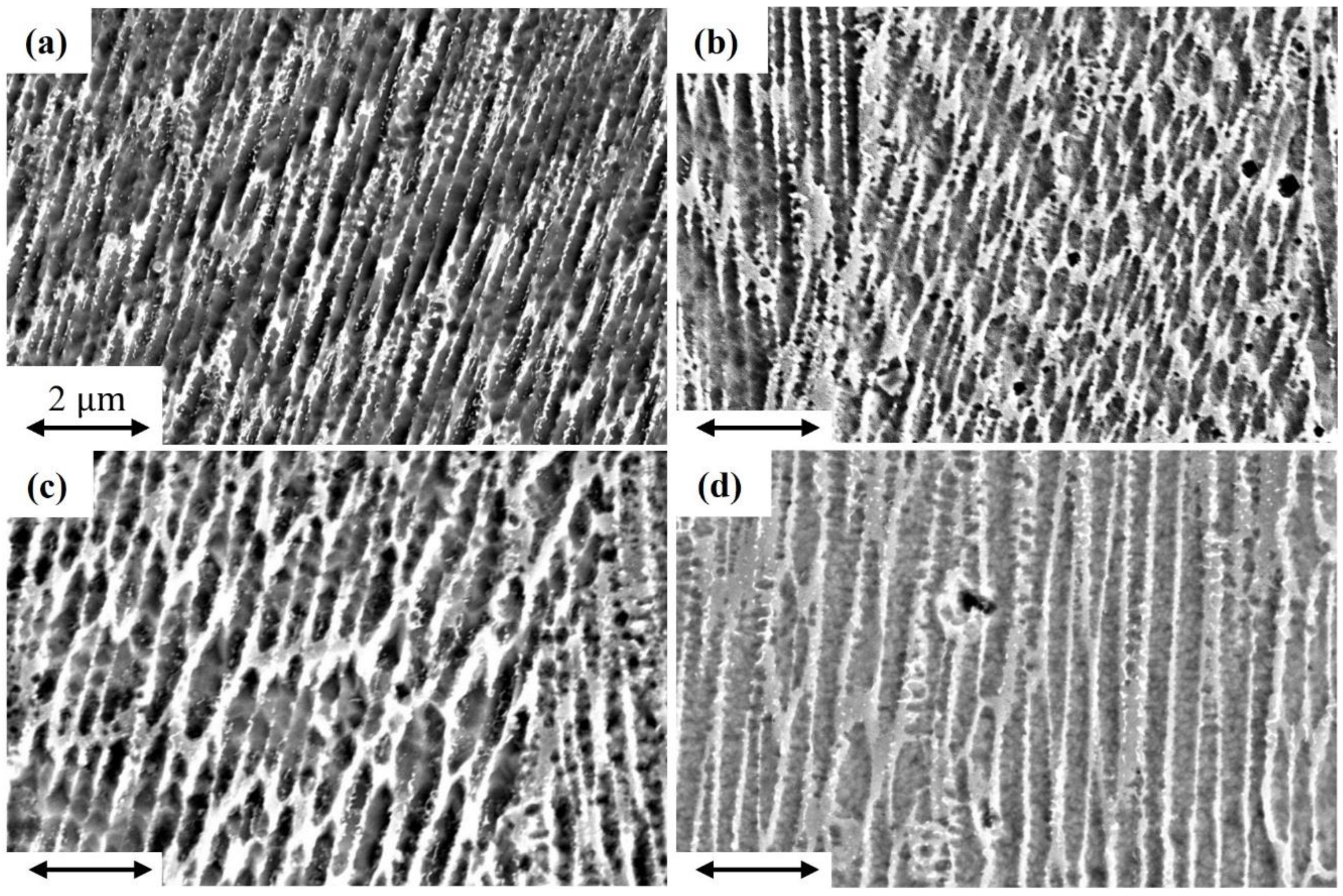 Metals 15 00639 g005