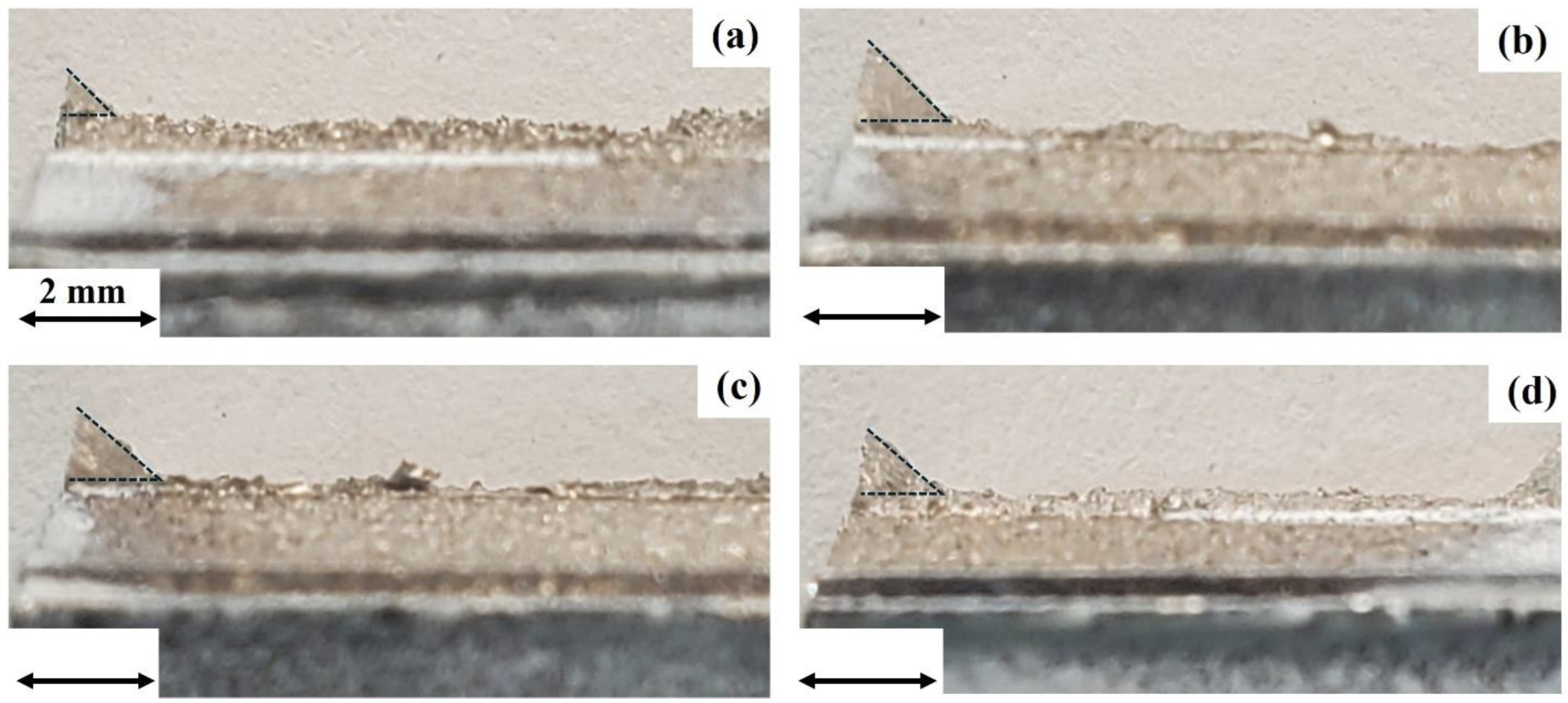 Metals 15 00639 g010