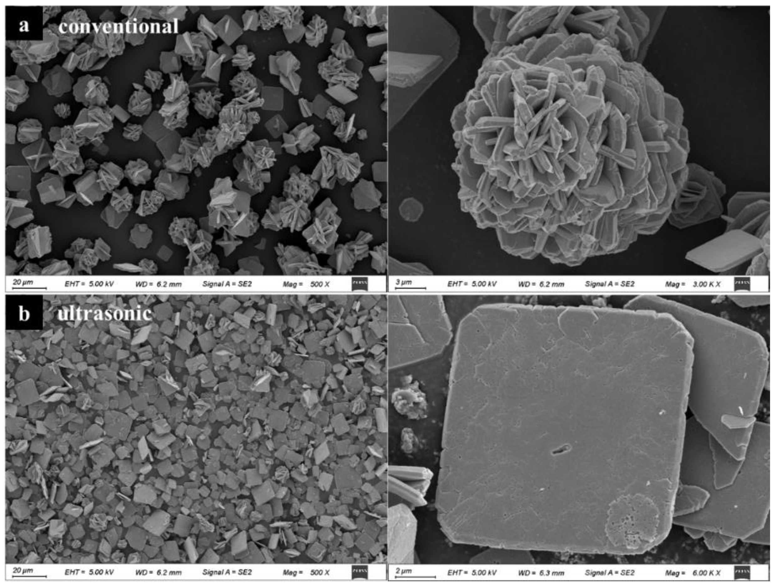 Metals 15 00643 g010