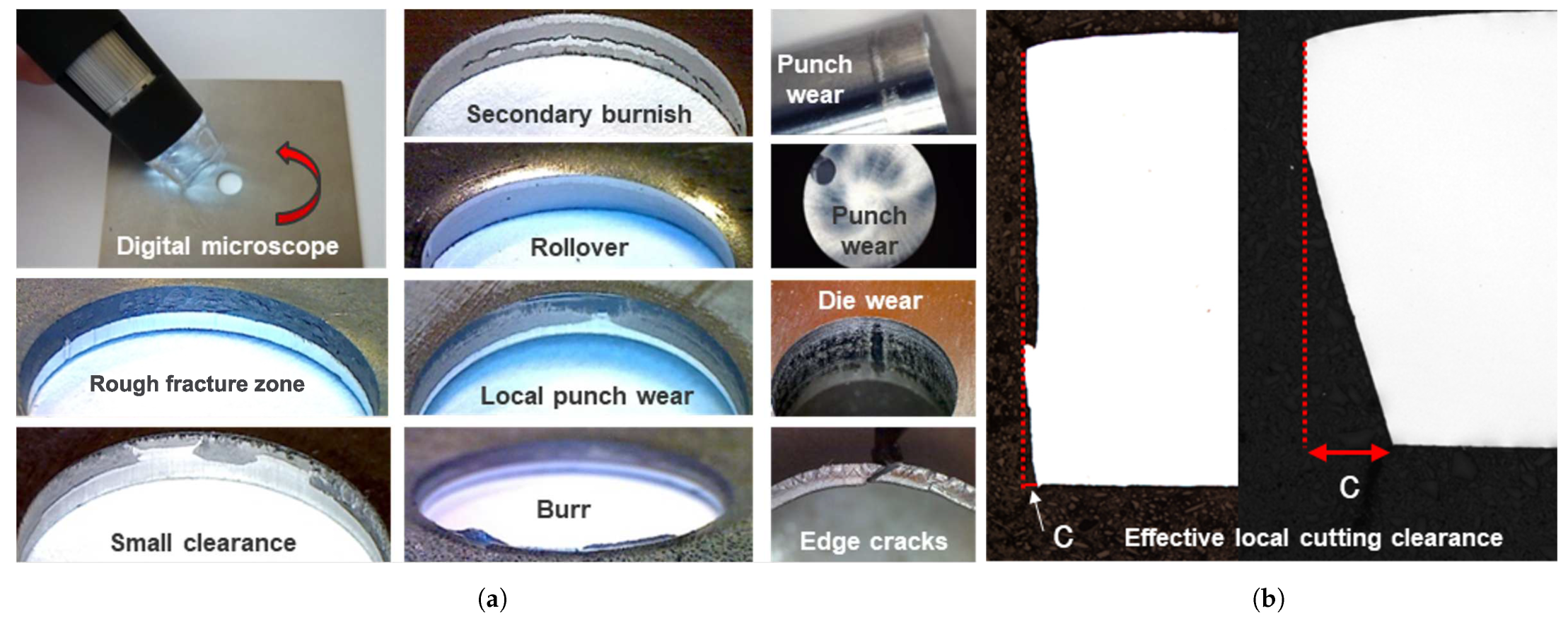 Metals 15 00645 g005