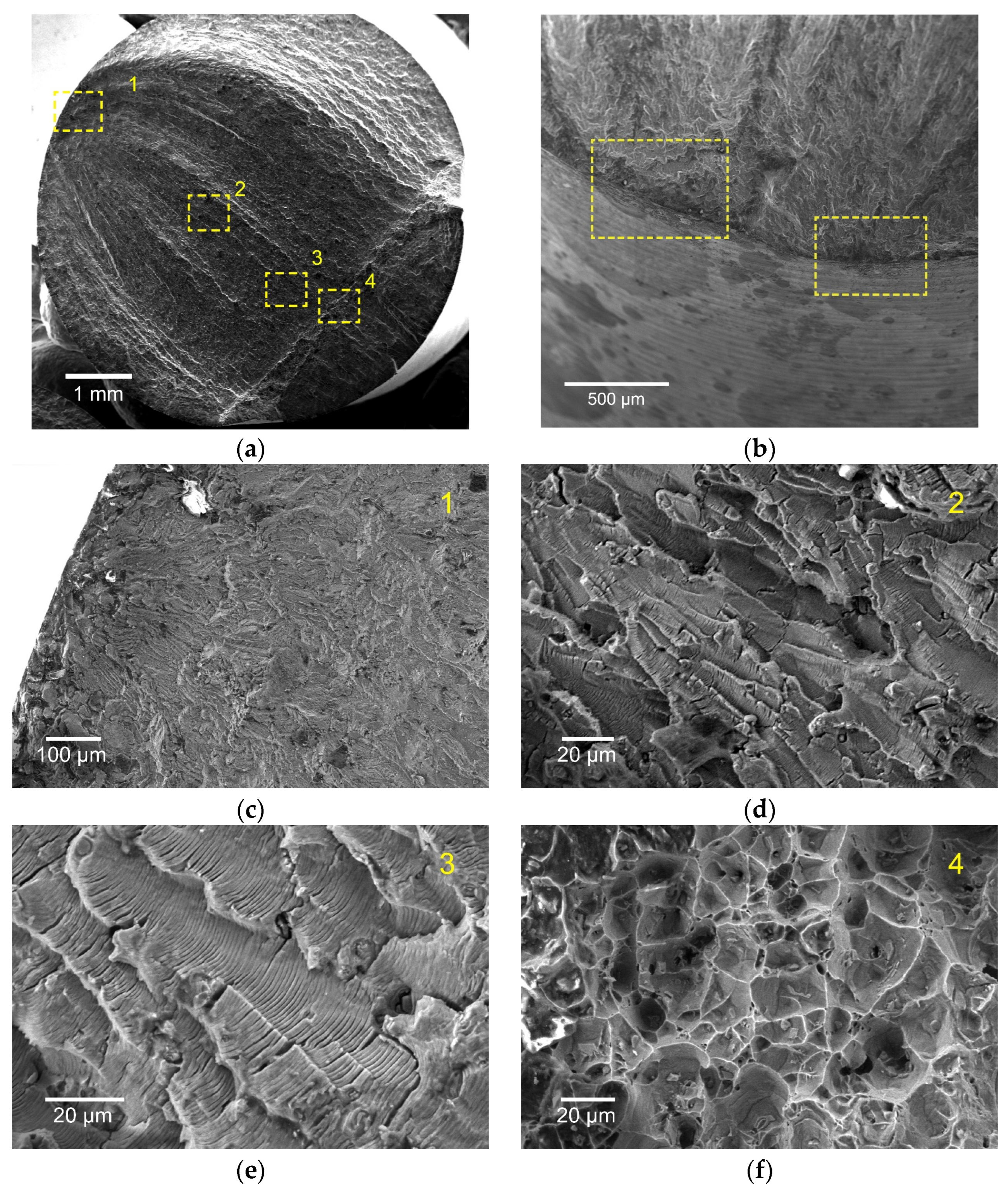Metals 15 00653 g006