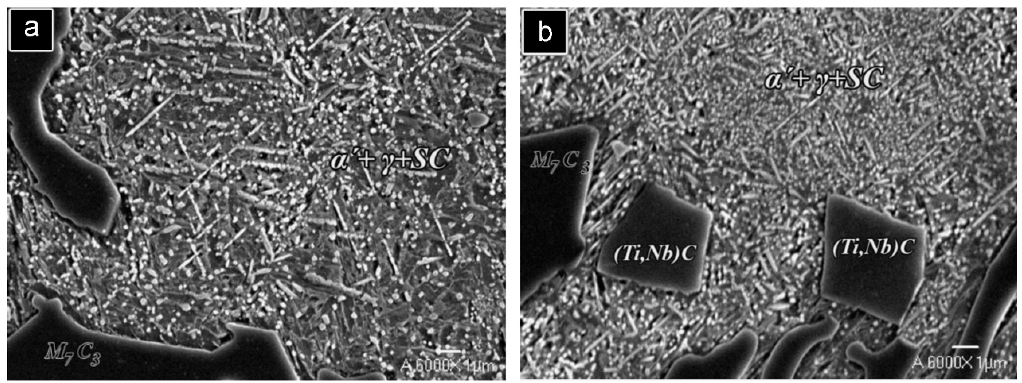 Metals 15 00663 g005