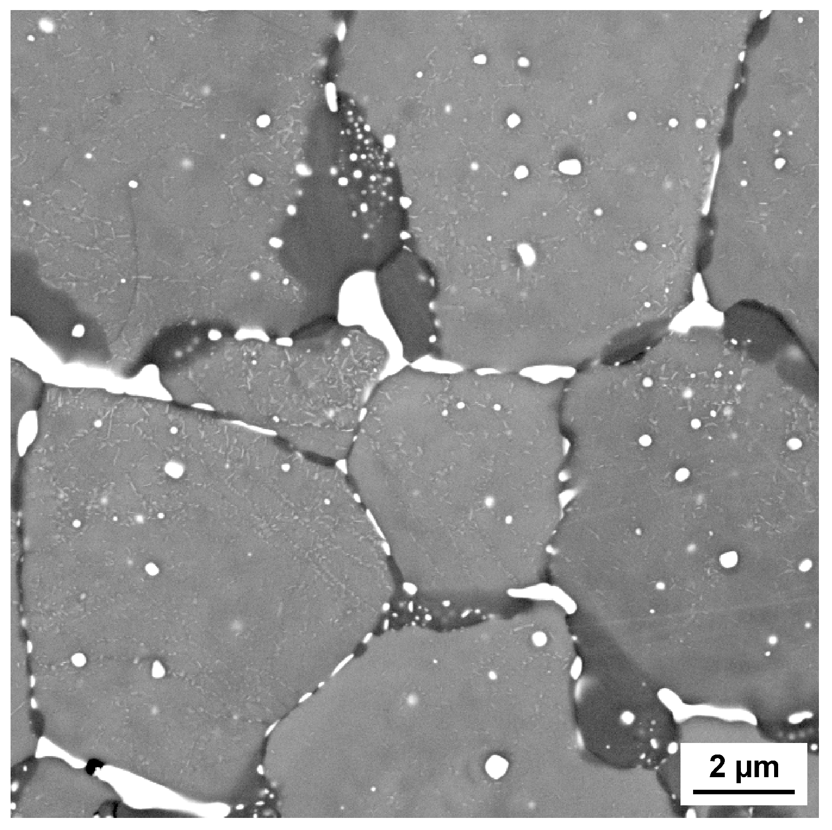 Metals 15 00664 g014