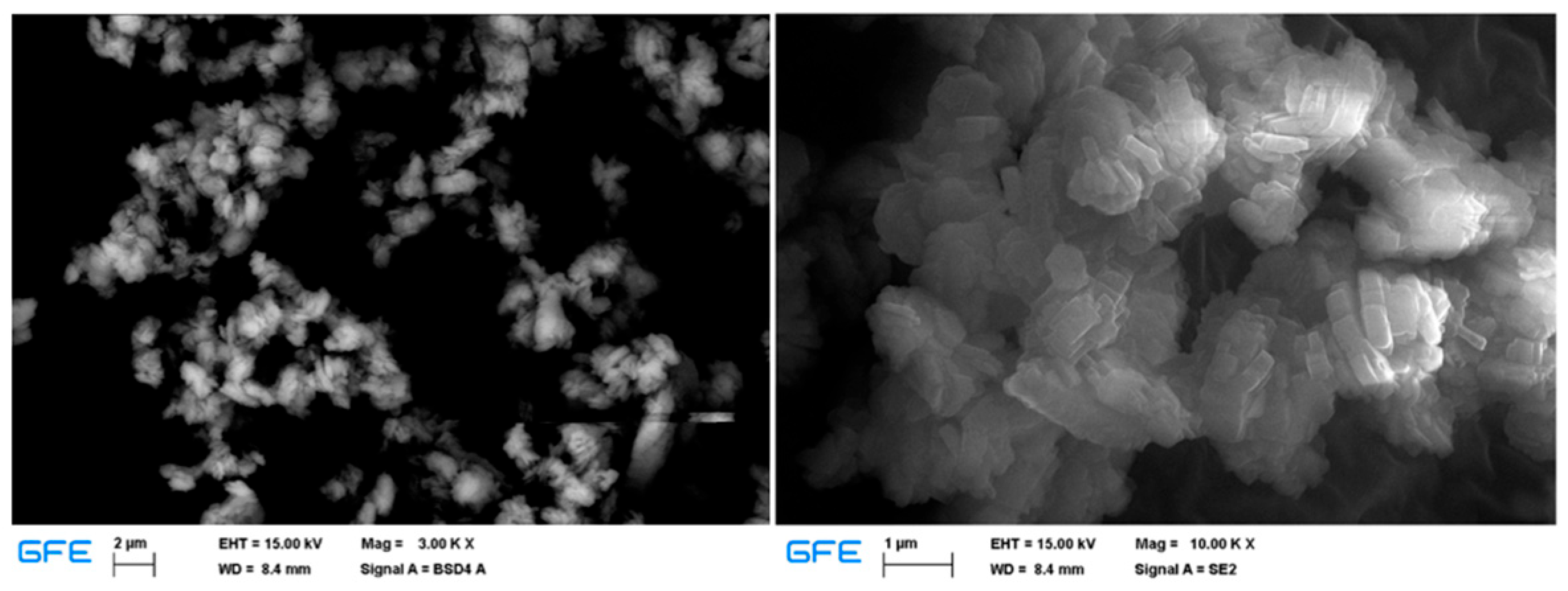 Metals 15 00669 g010