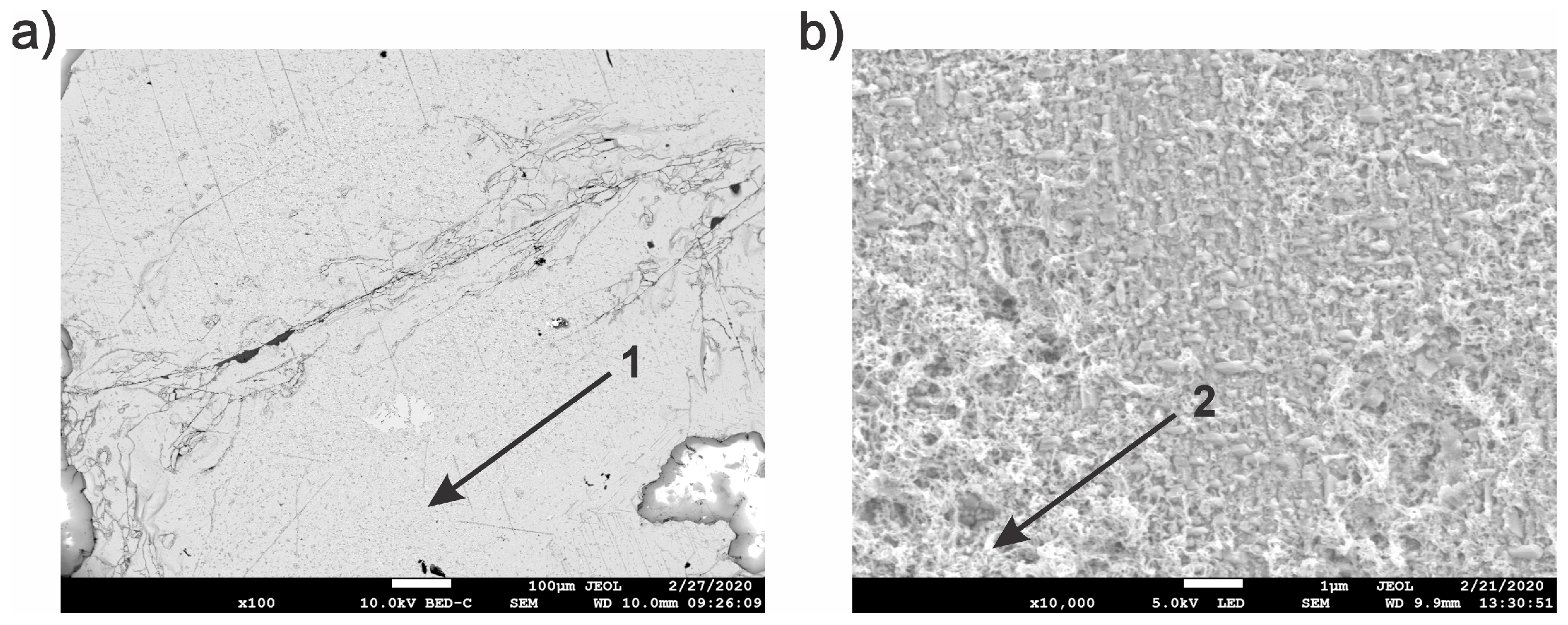 Metals 15 00672 g005