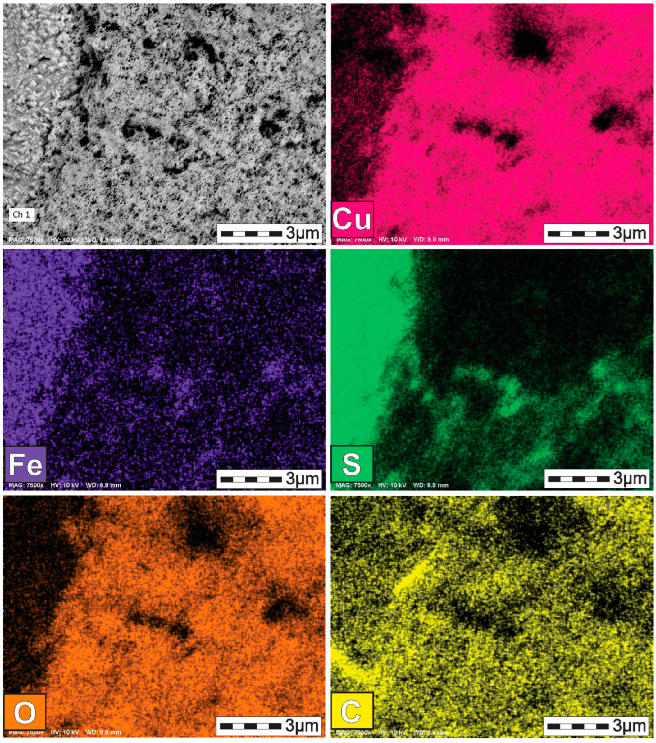 Metals 15 00672 g011