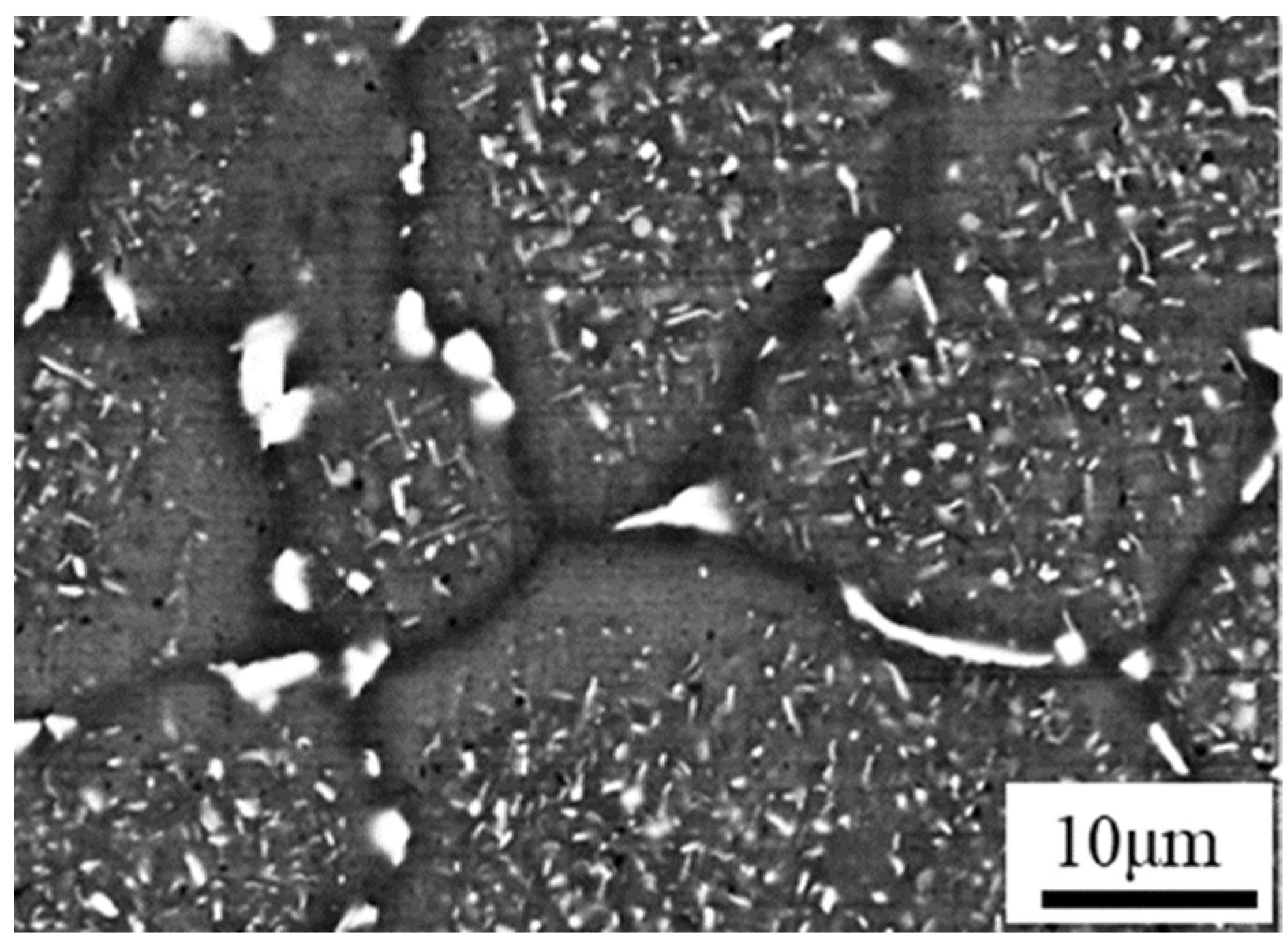 Metals 15 00693 g020