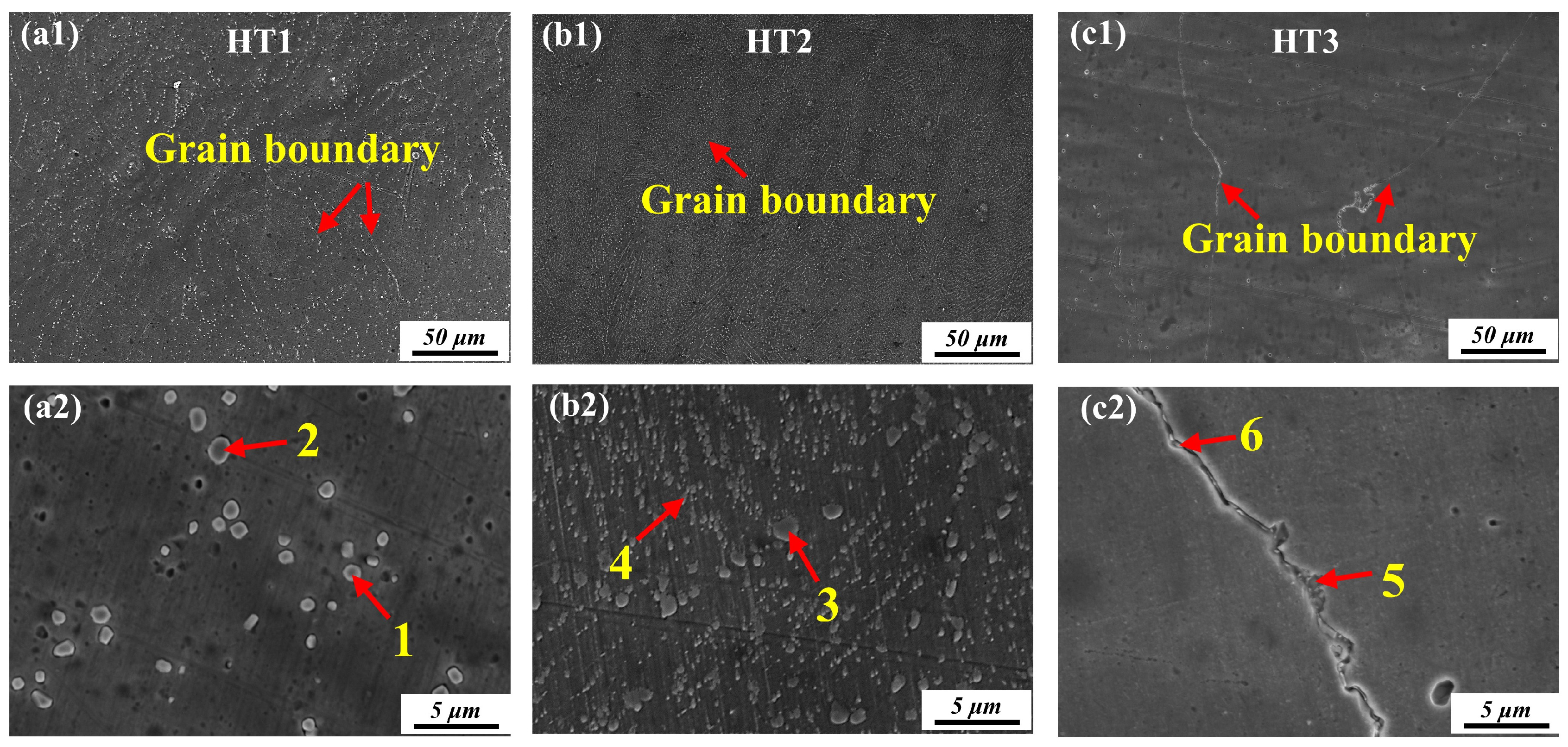 Metals 15 00708 g005