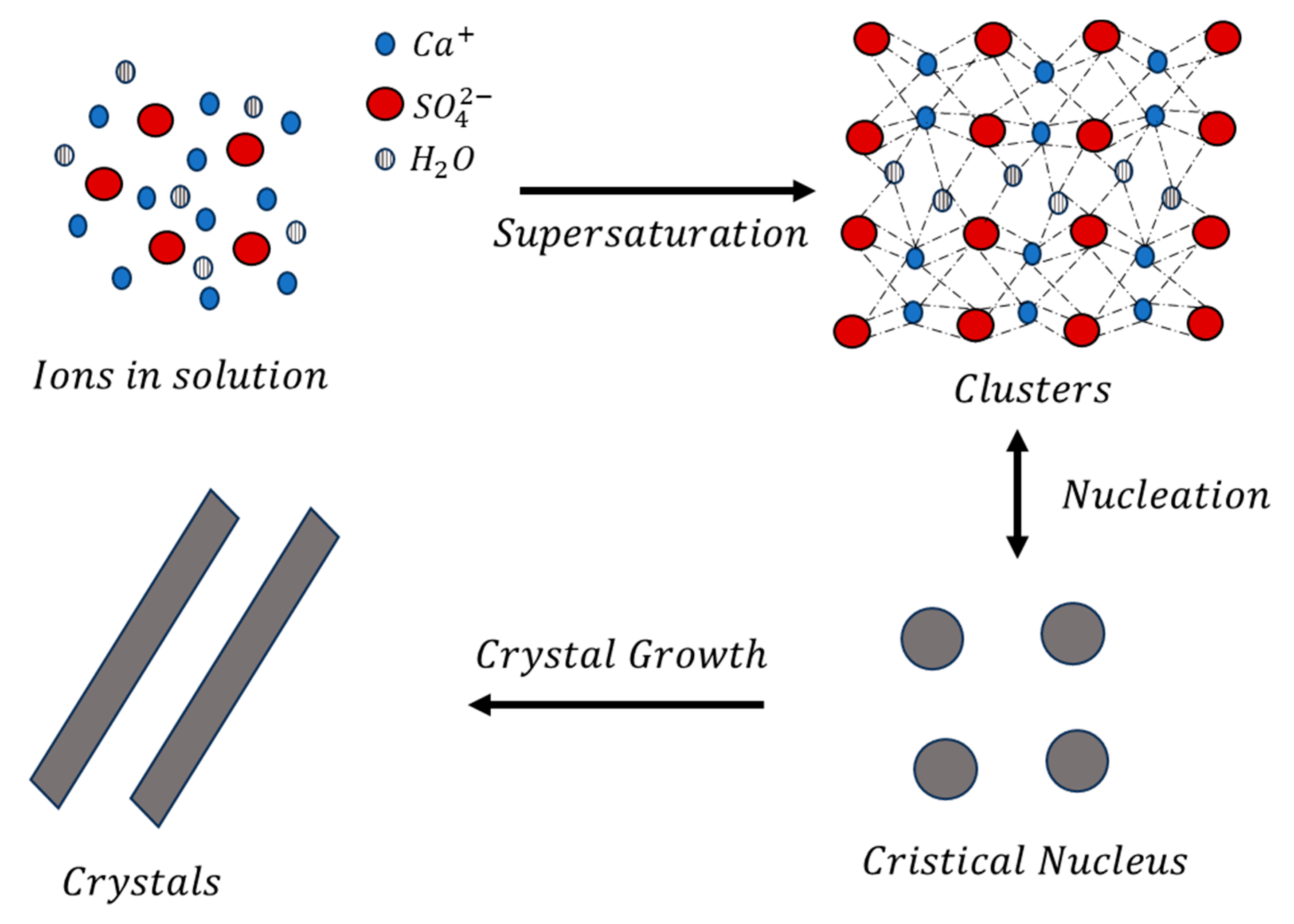 Metals 15 00710 g004