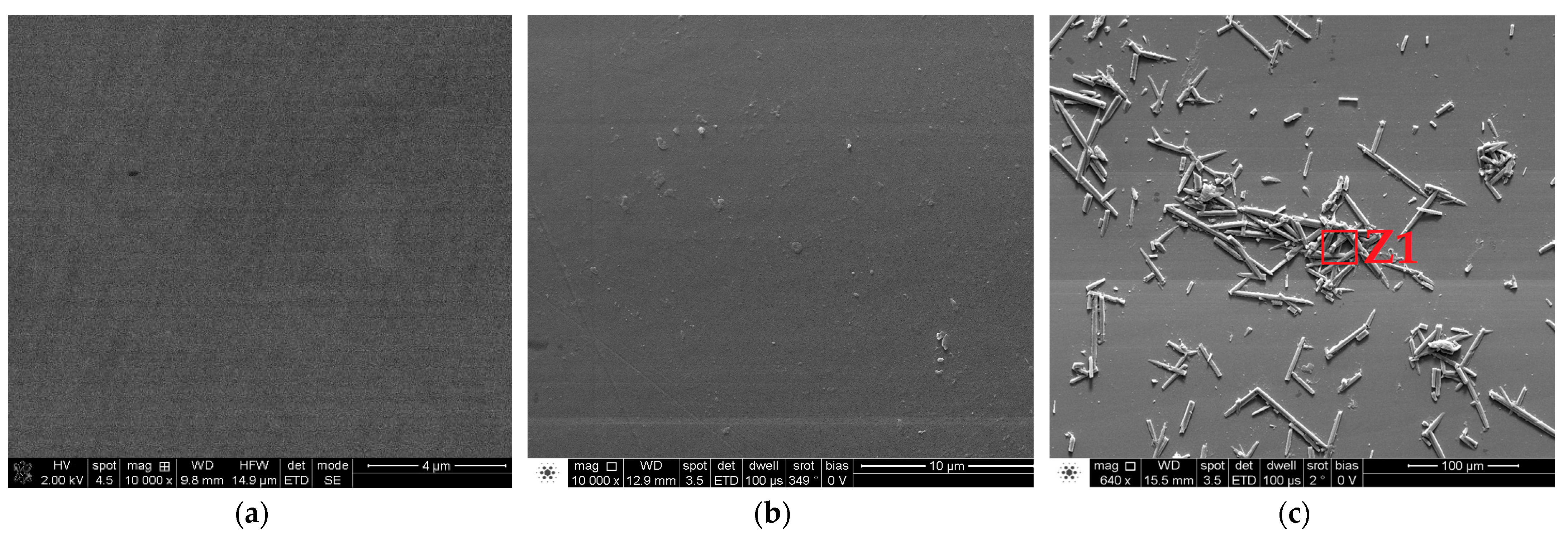 Metals 15 00713 g011