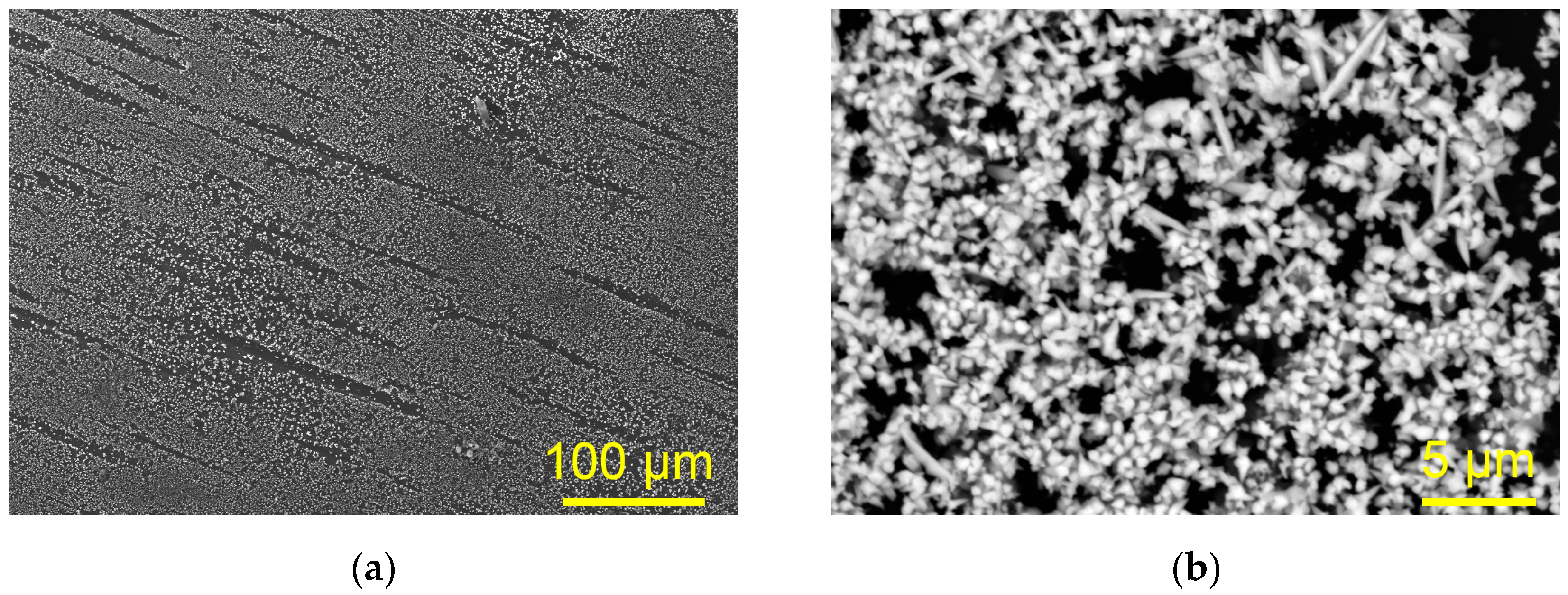 Metals 15 00716 g004