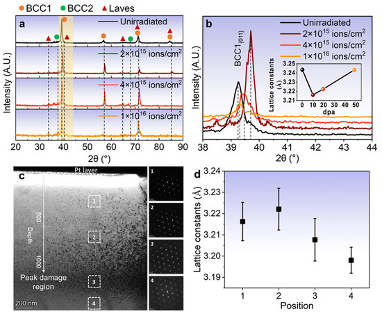 Irradiation Performance of a Multiphase MoNbTiVZr Refractory