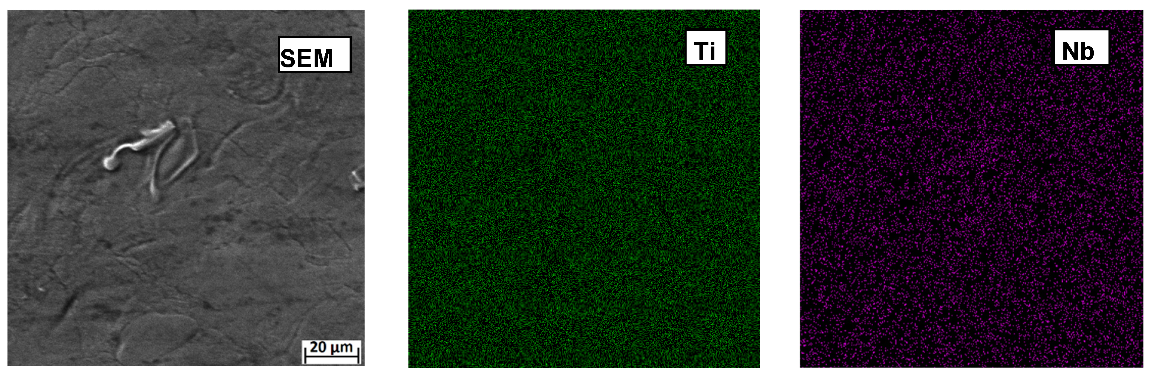 Metals 15 00728 g011a