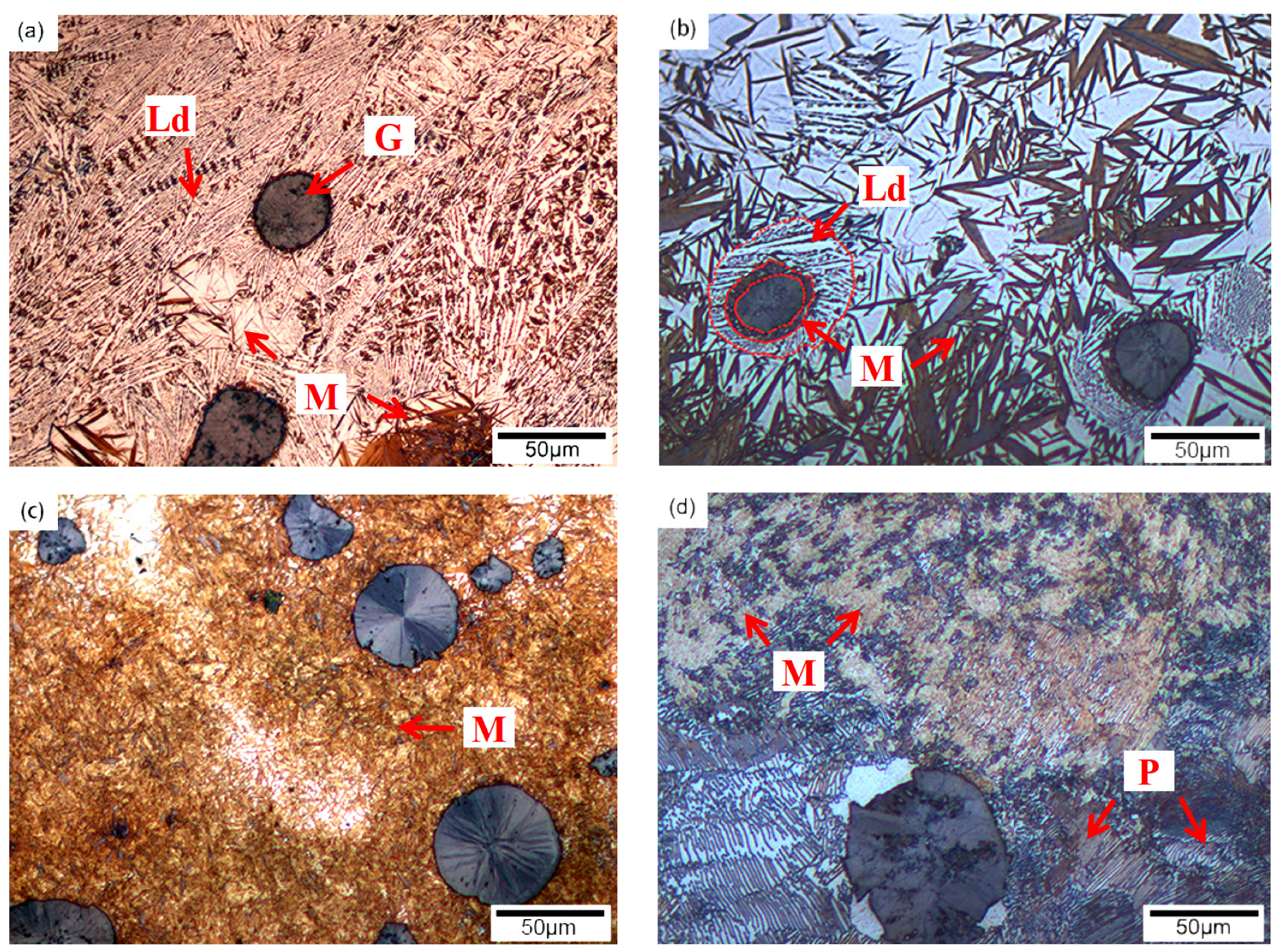 Metals 15 00734 g005