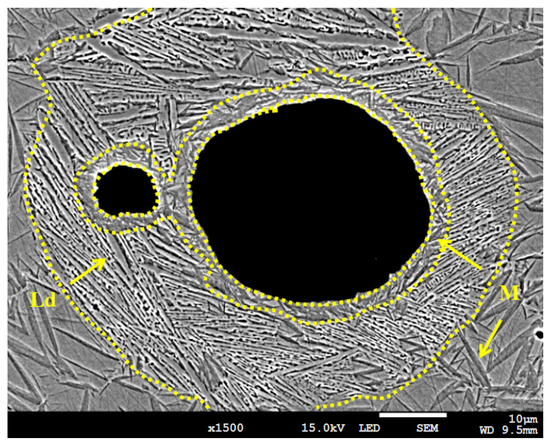 Metals 15 00734 g006