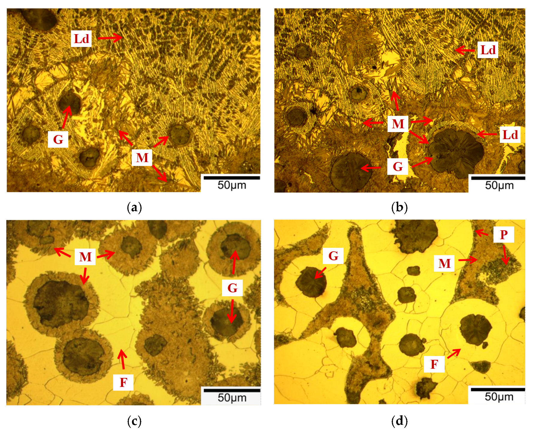 Metals 15 00734 g008