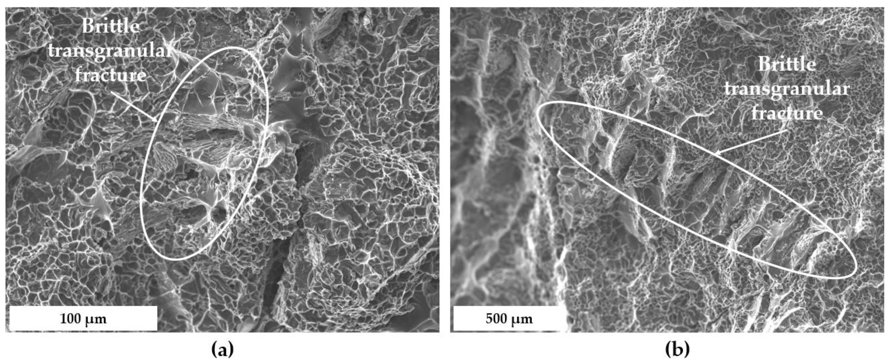 Metals 15 00742 g017