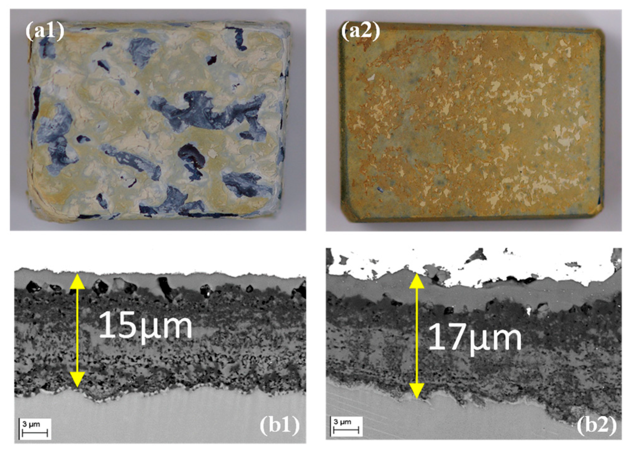 Metals 15 00745 g011