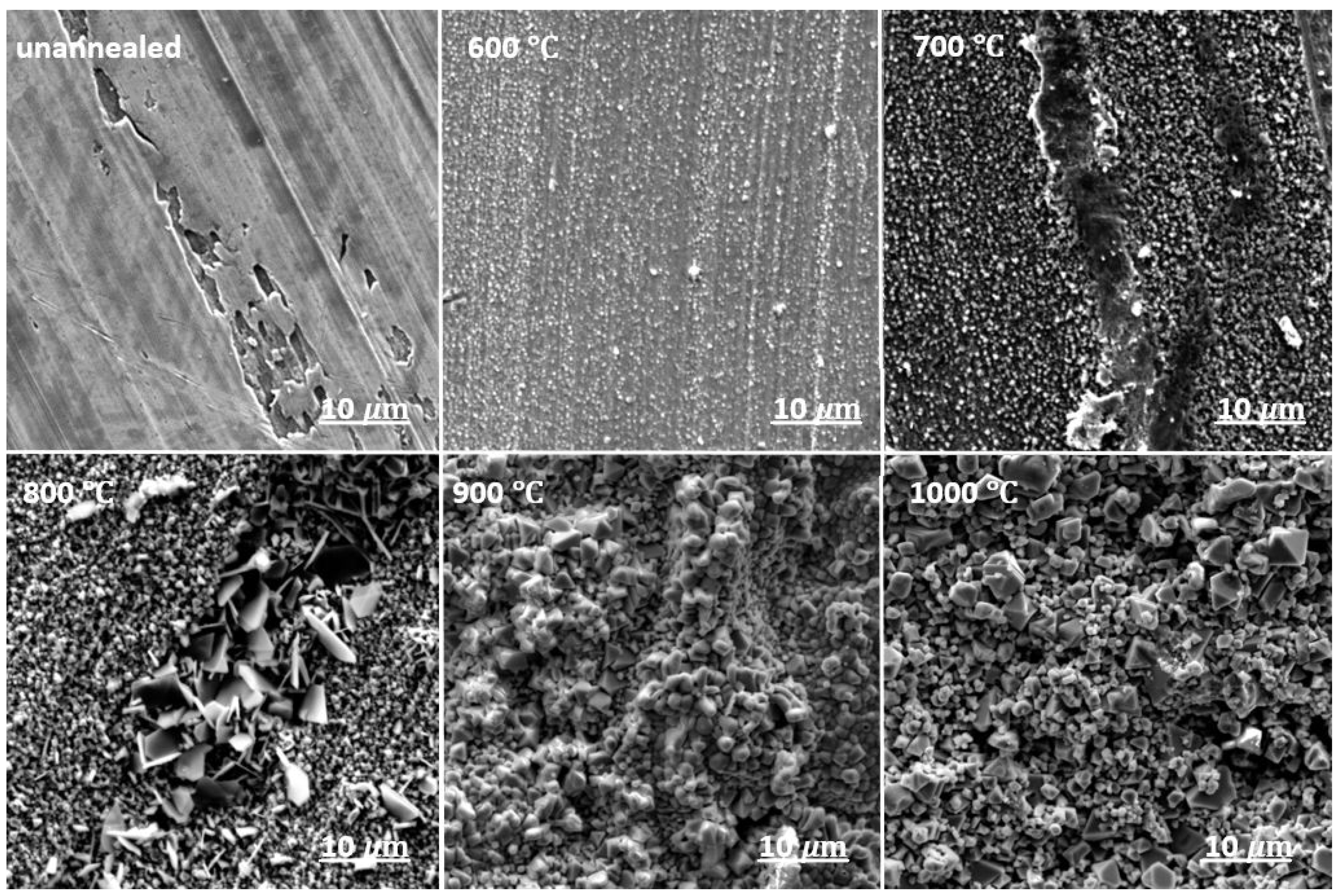 Metals 15 00748 g004