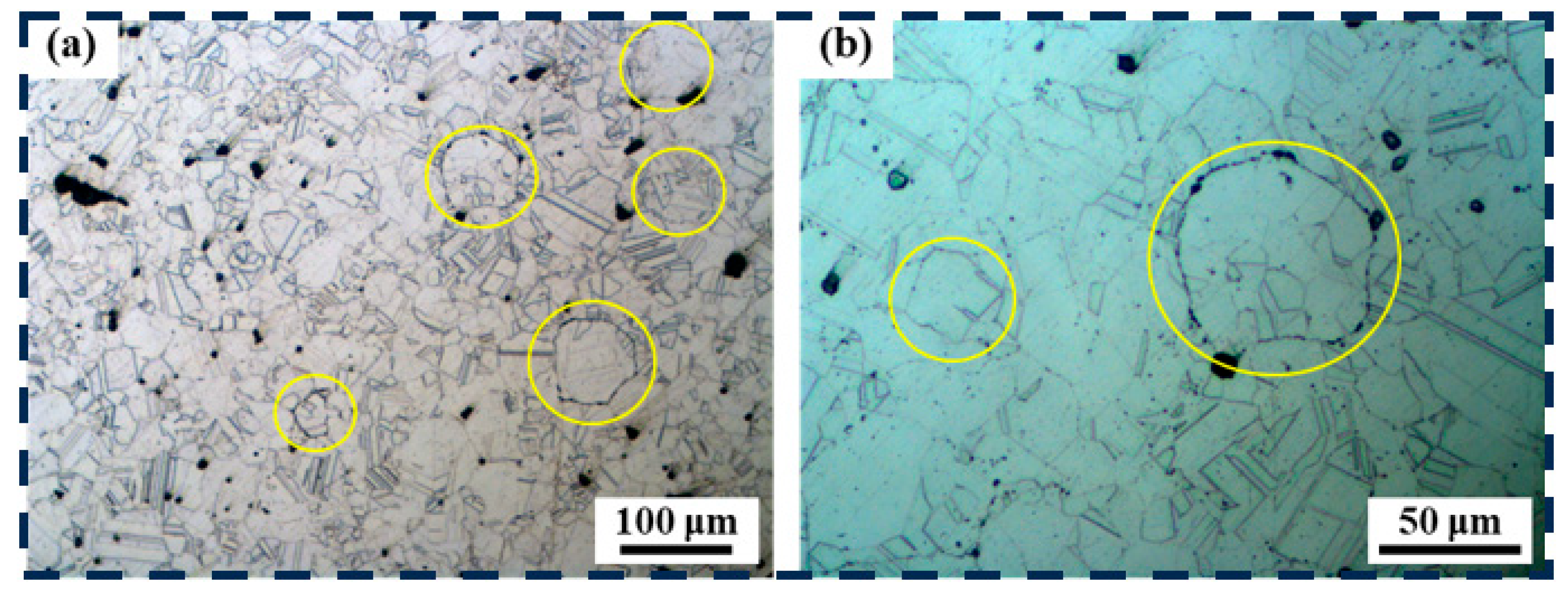 Metals 15 00752 g013