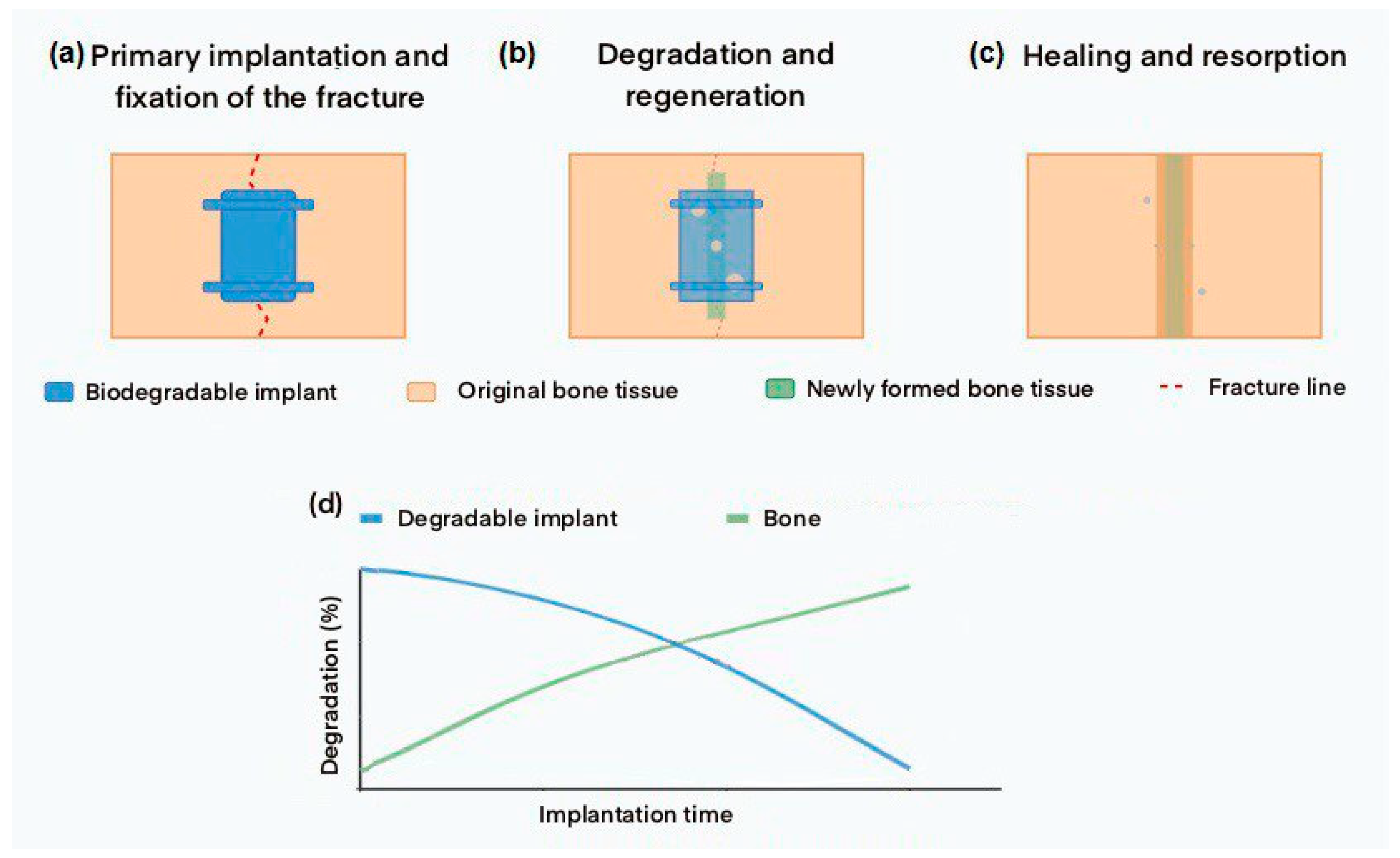 Metals 15 00754 g001