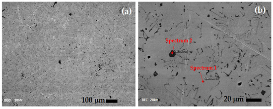 Determination of the Corrosion and Biocompatibility
