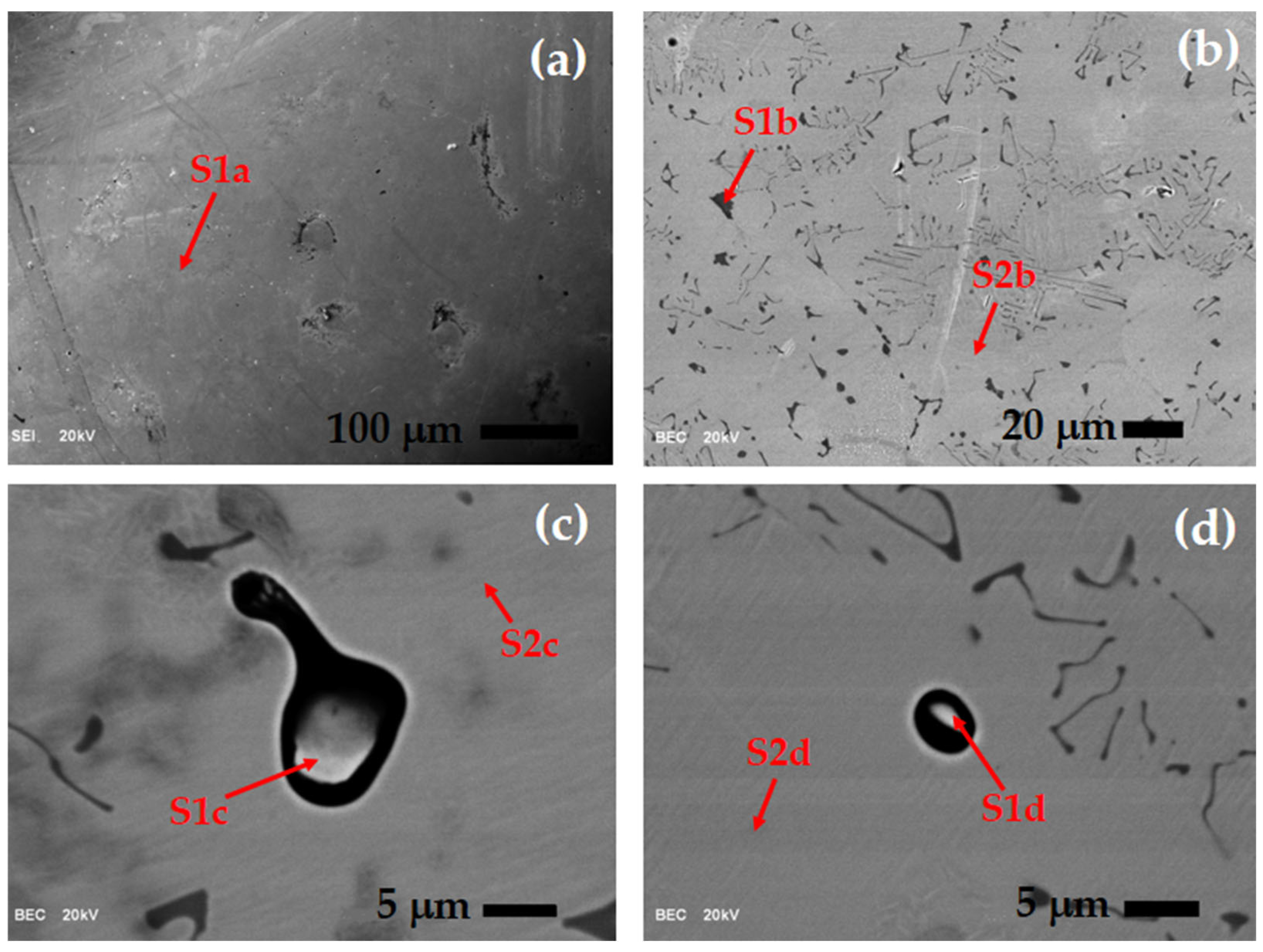 Metals 15 00758 g008