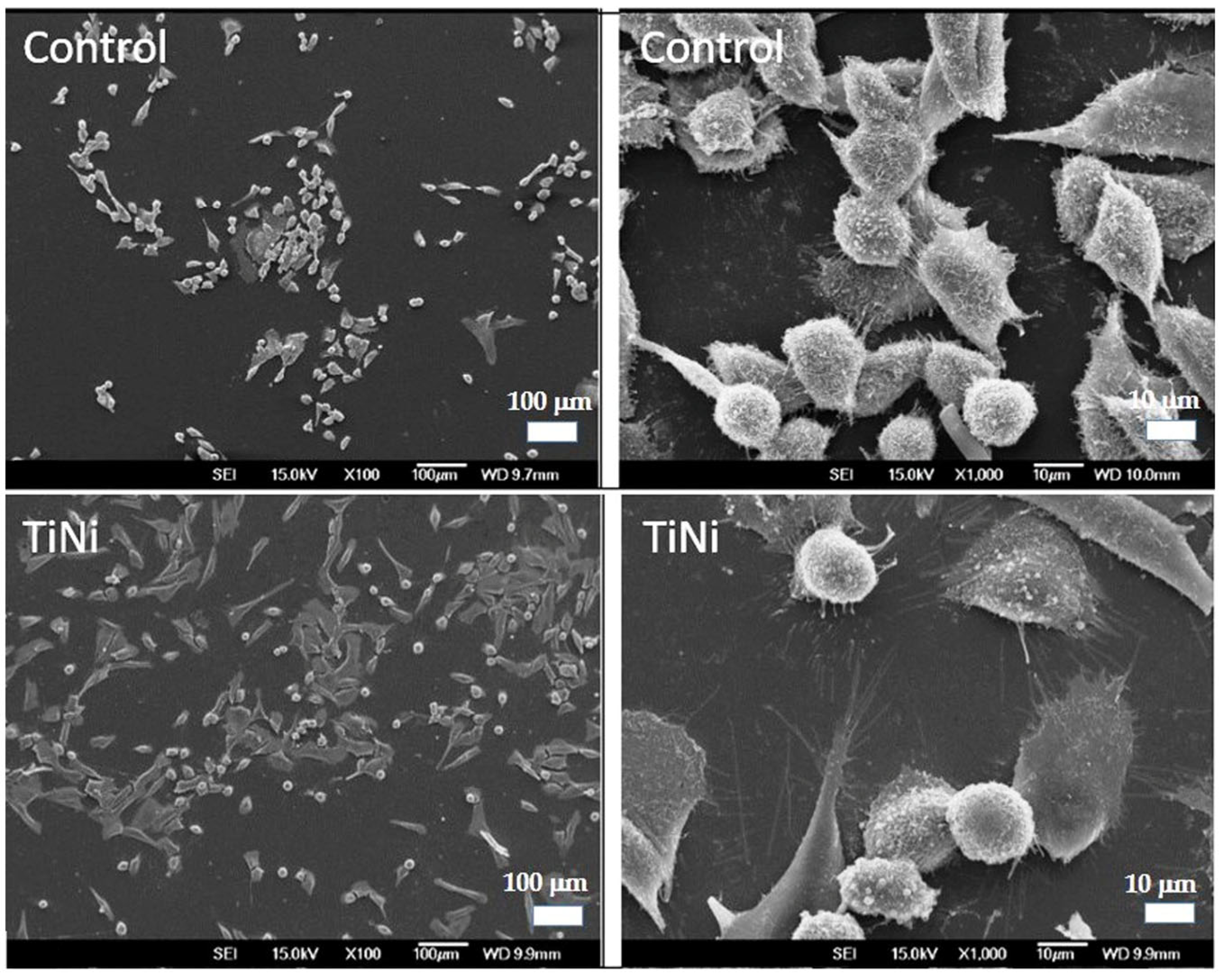 Metals 15 00758 g011