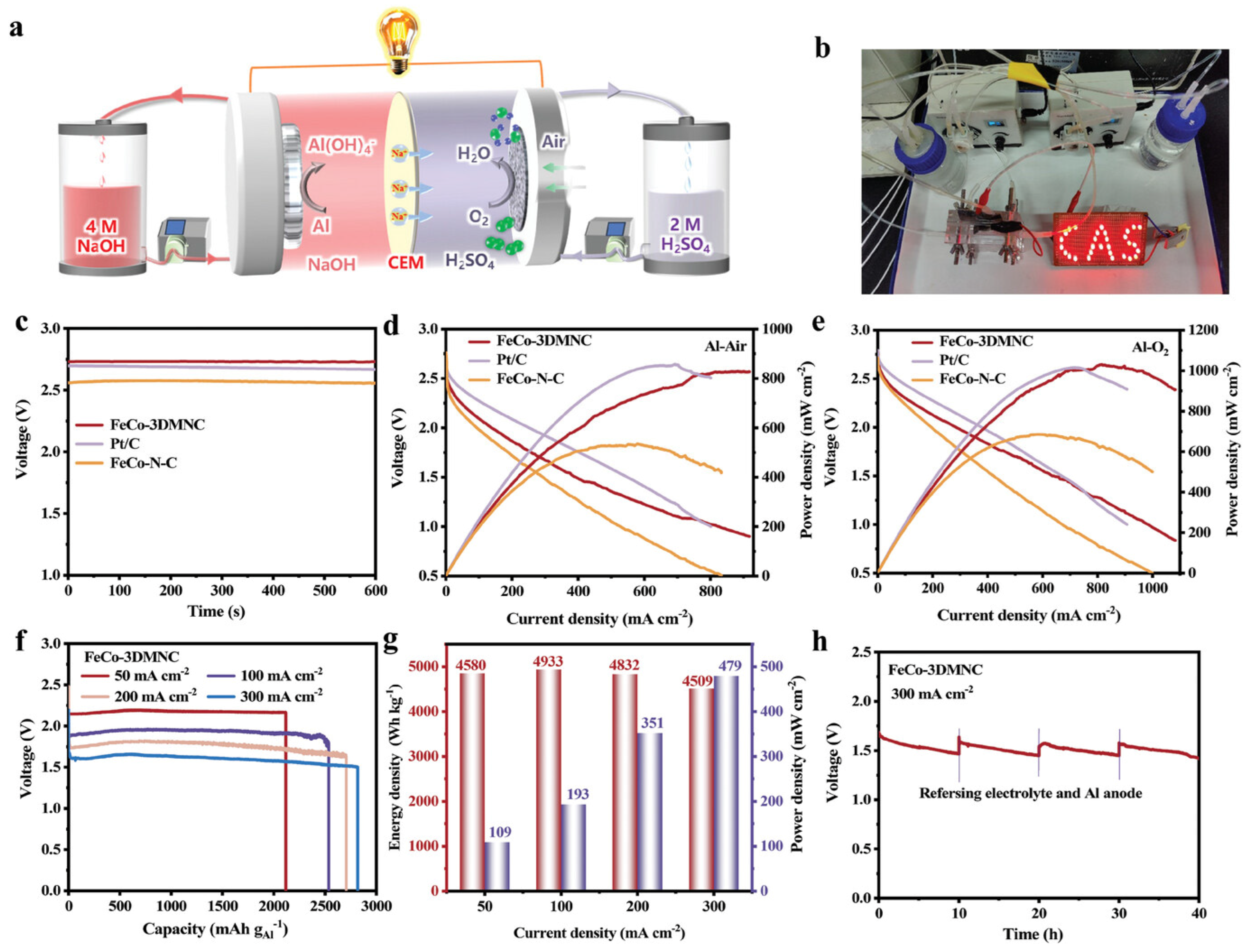 Metals 15 00760 g004