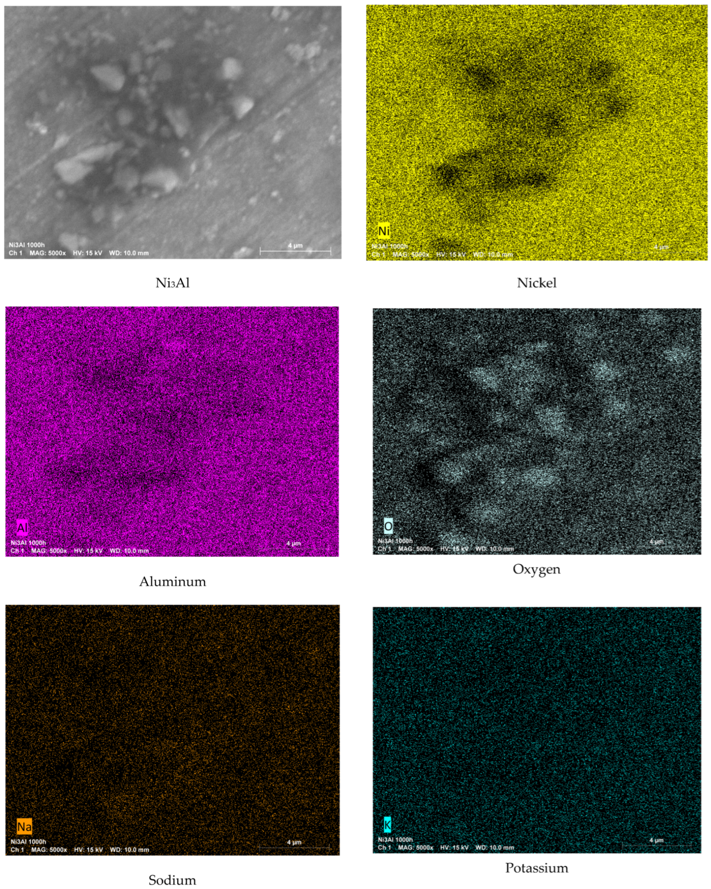 Metals 15 00764 g004