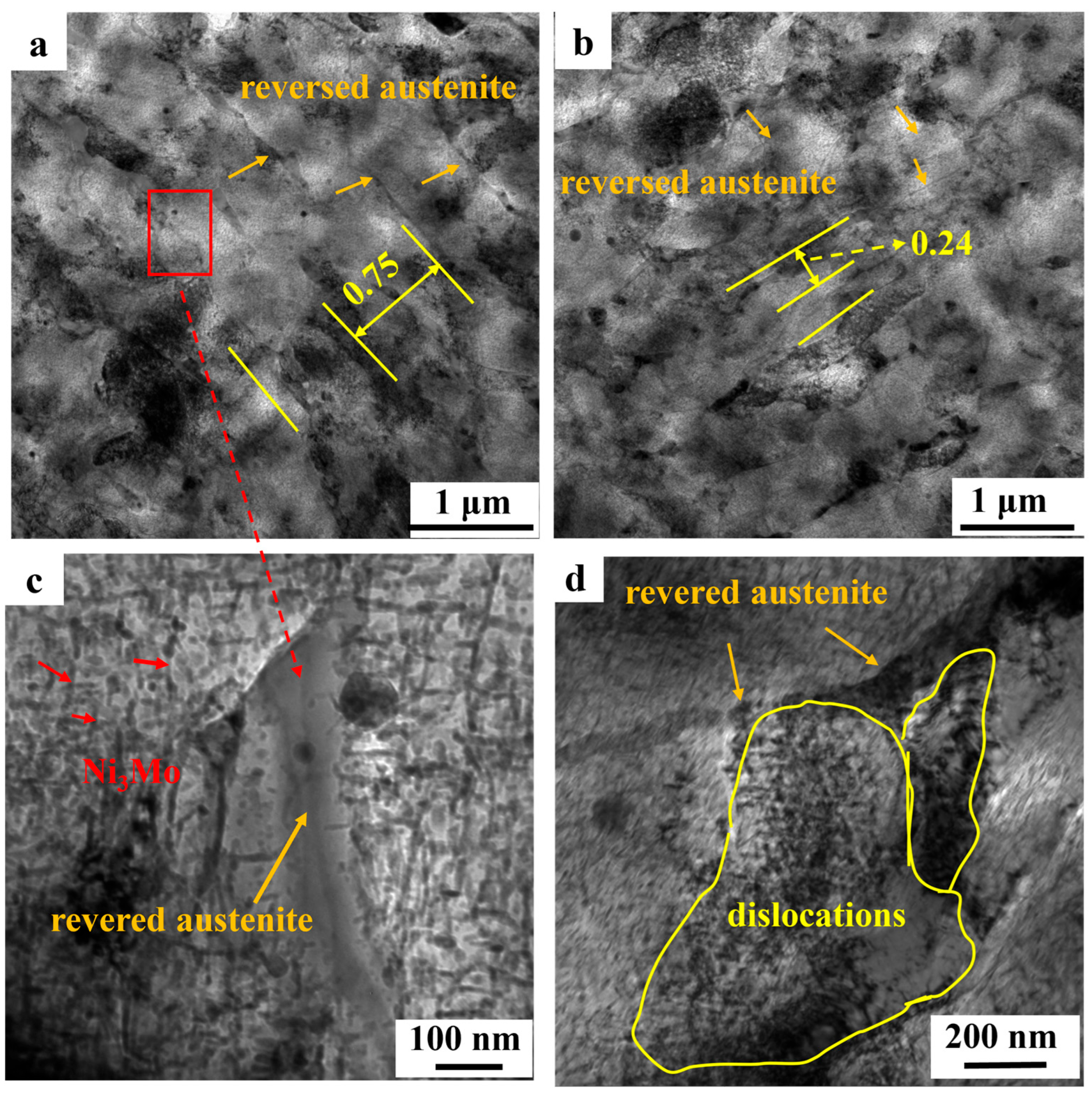 Metals 15 00766 g009