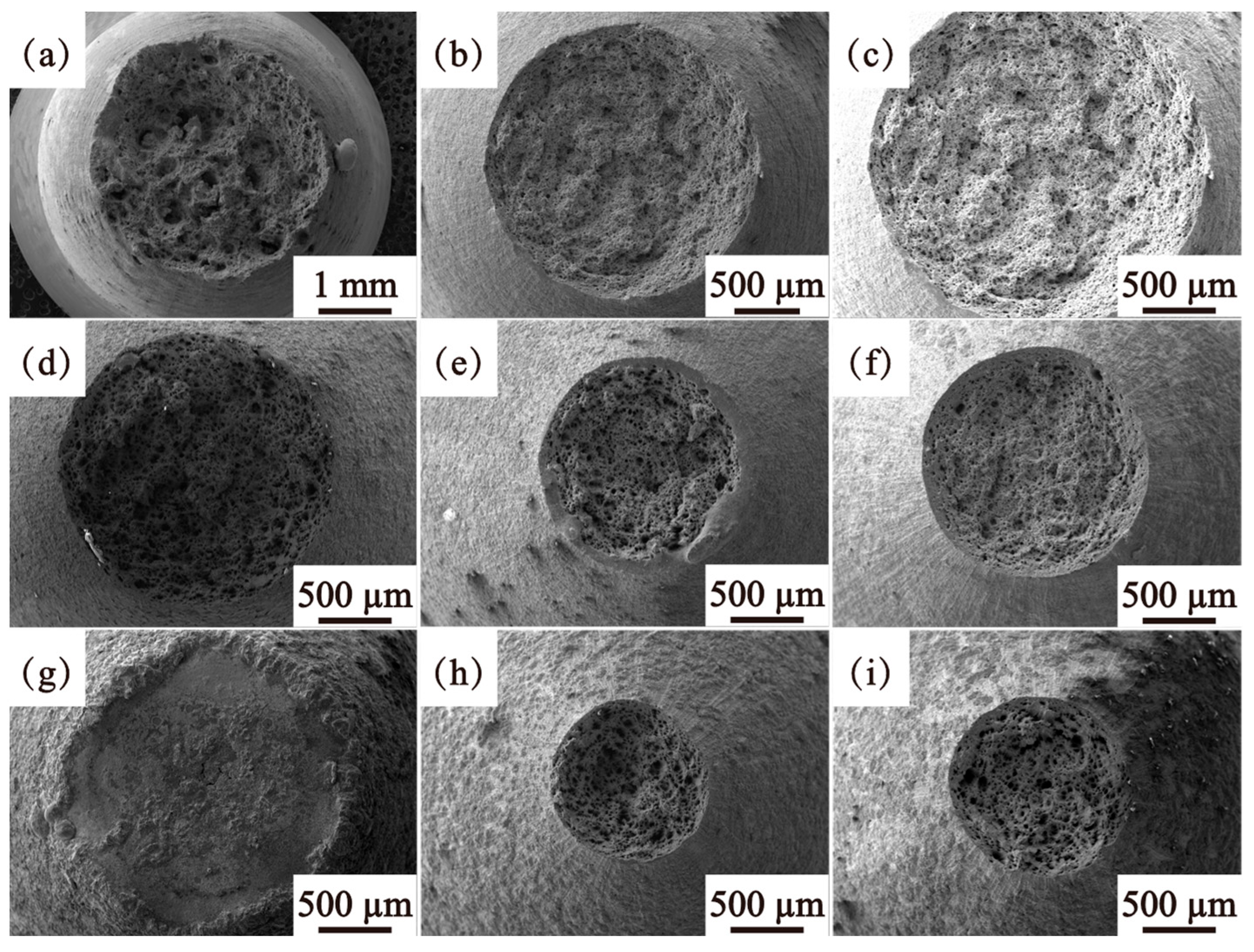 Metals 15 00776 g006