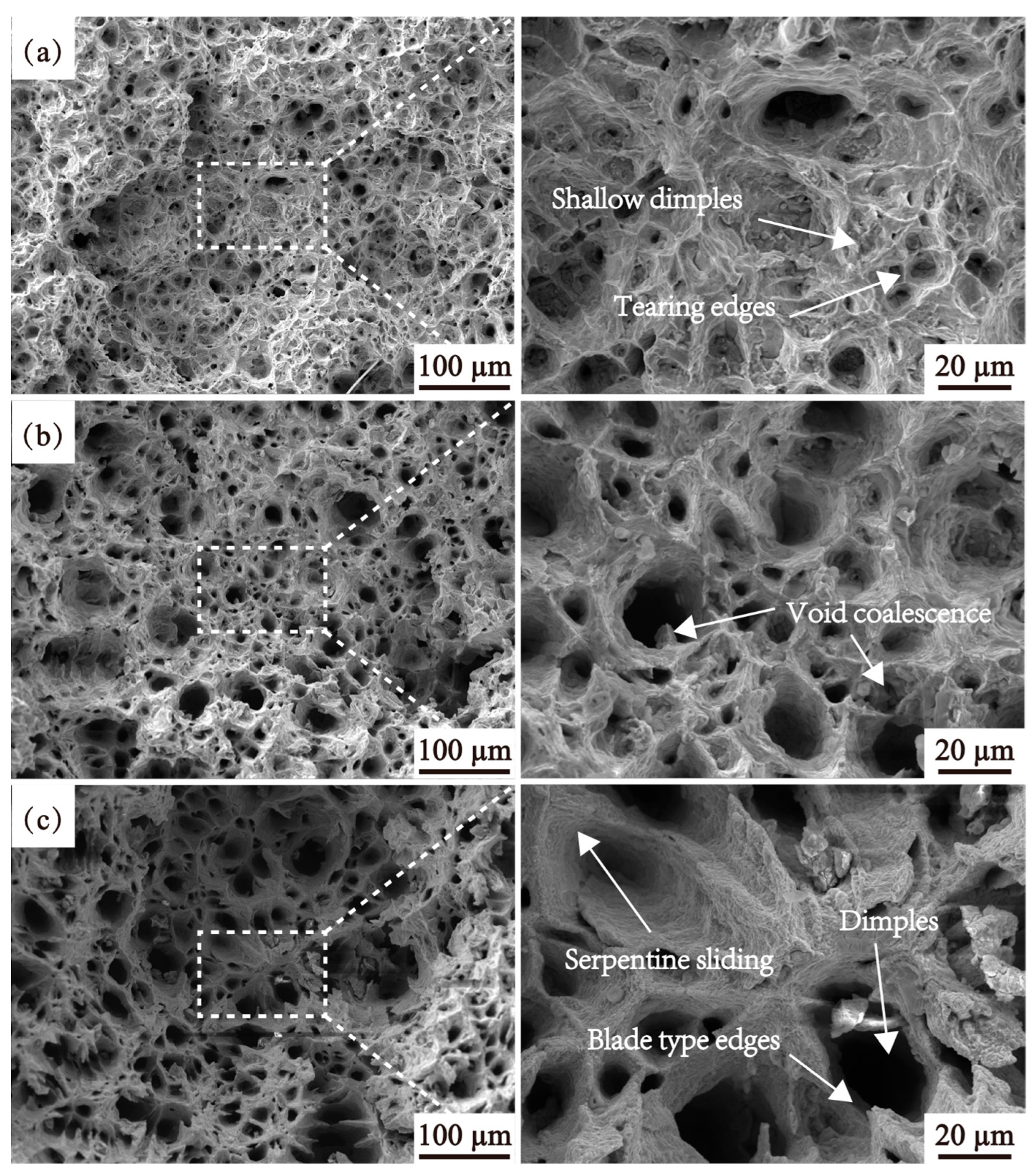 Metals 15 00776 g013