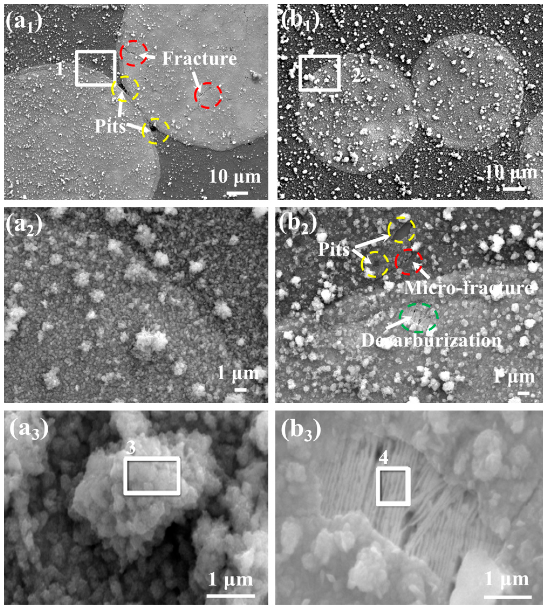 Metals 15 00777 g012