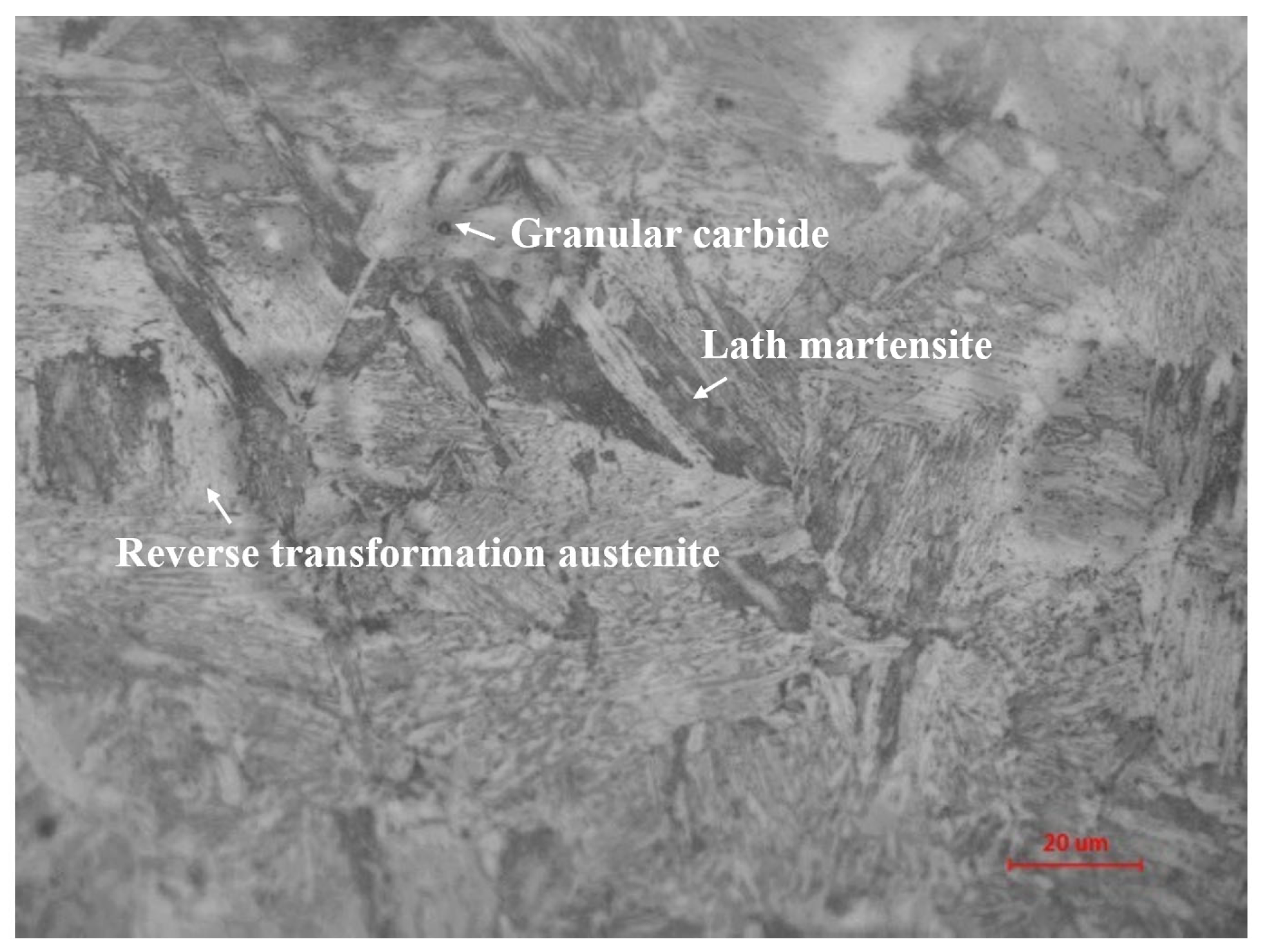 Metals 15 00783 g001